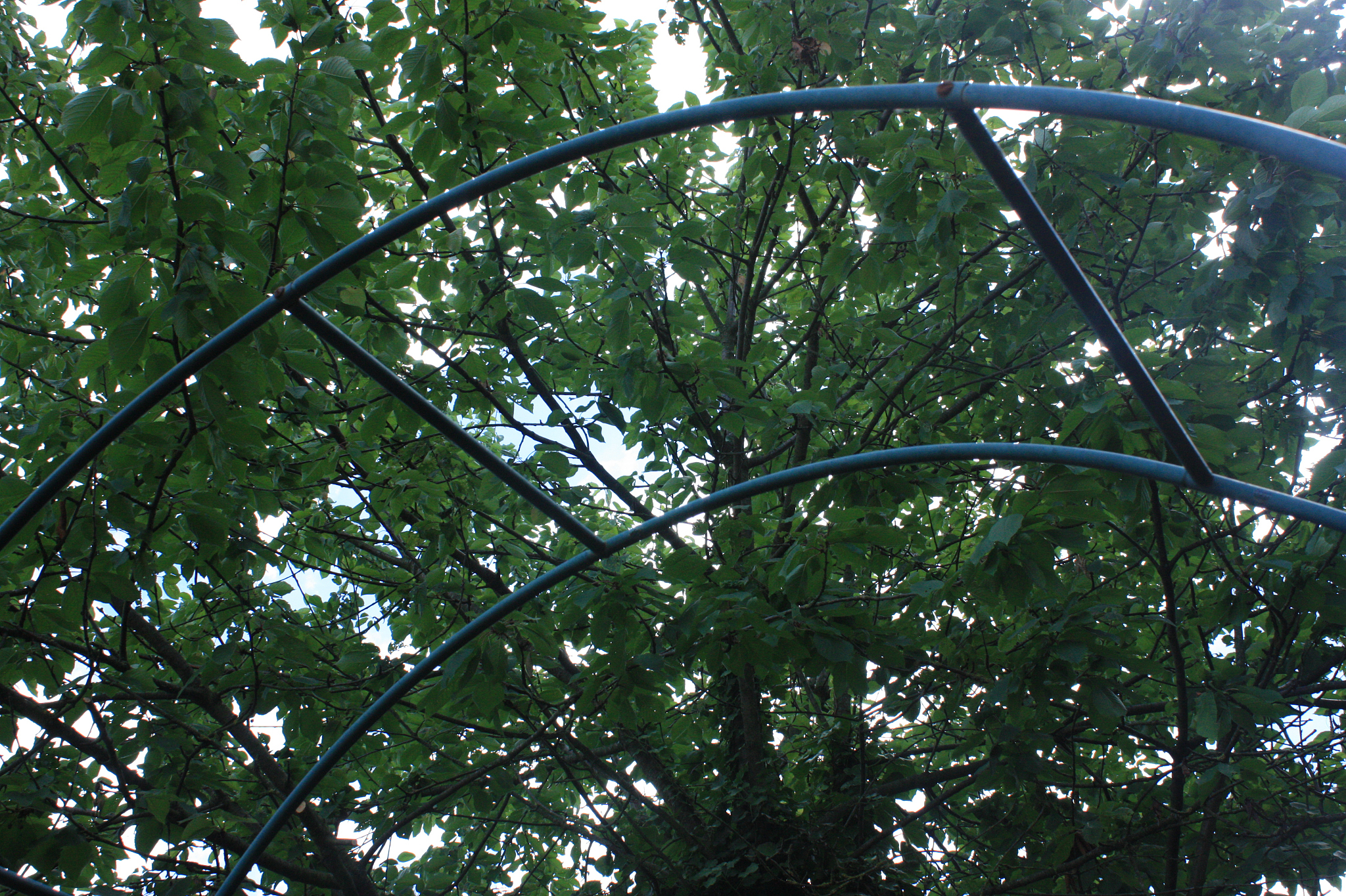 峨眉山市旅游学校园林技术专业就业方向有哪些