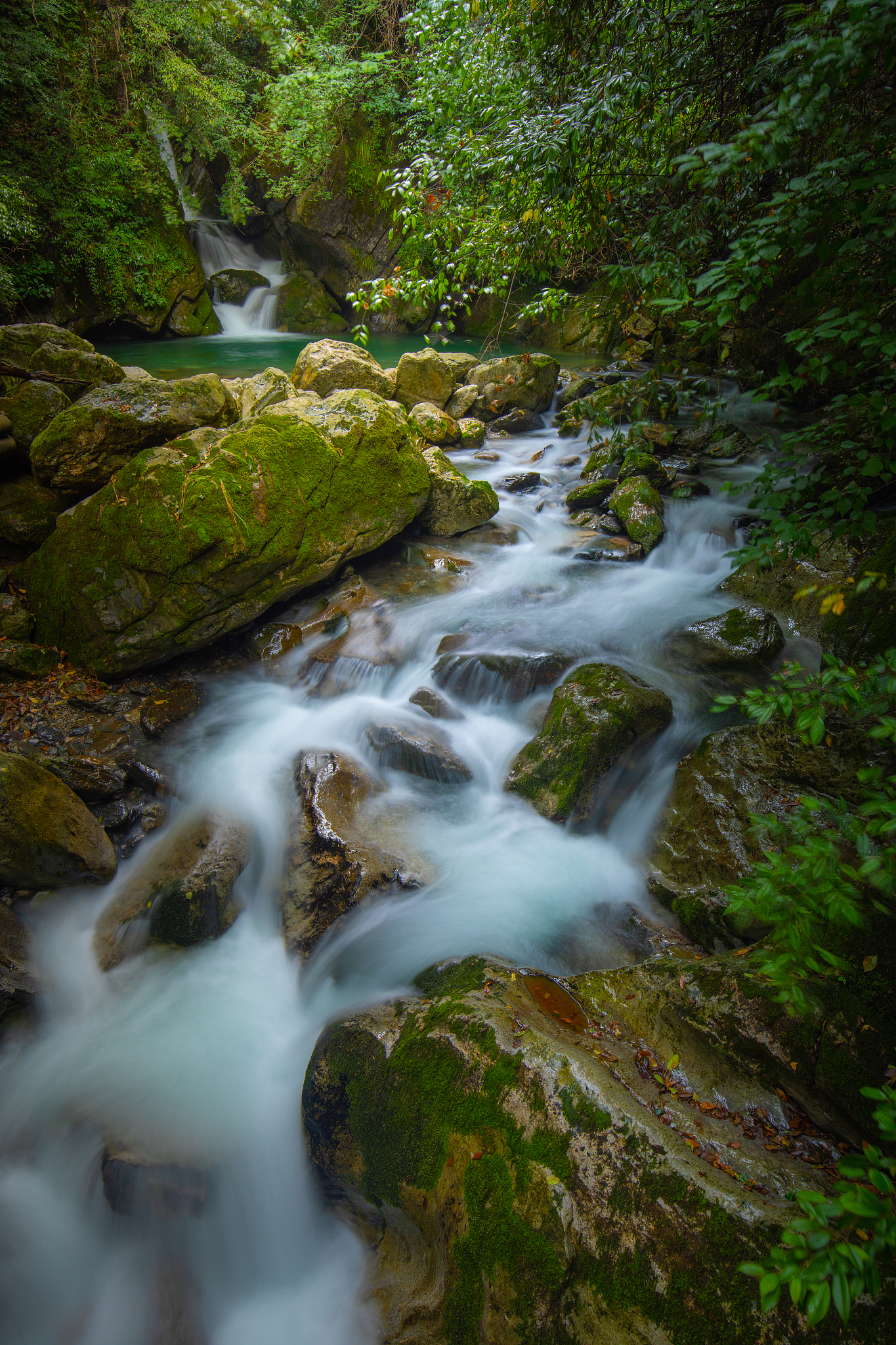 家乡风物：山、林、溪流与文化
