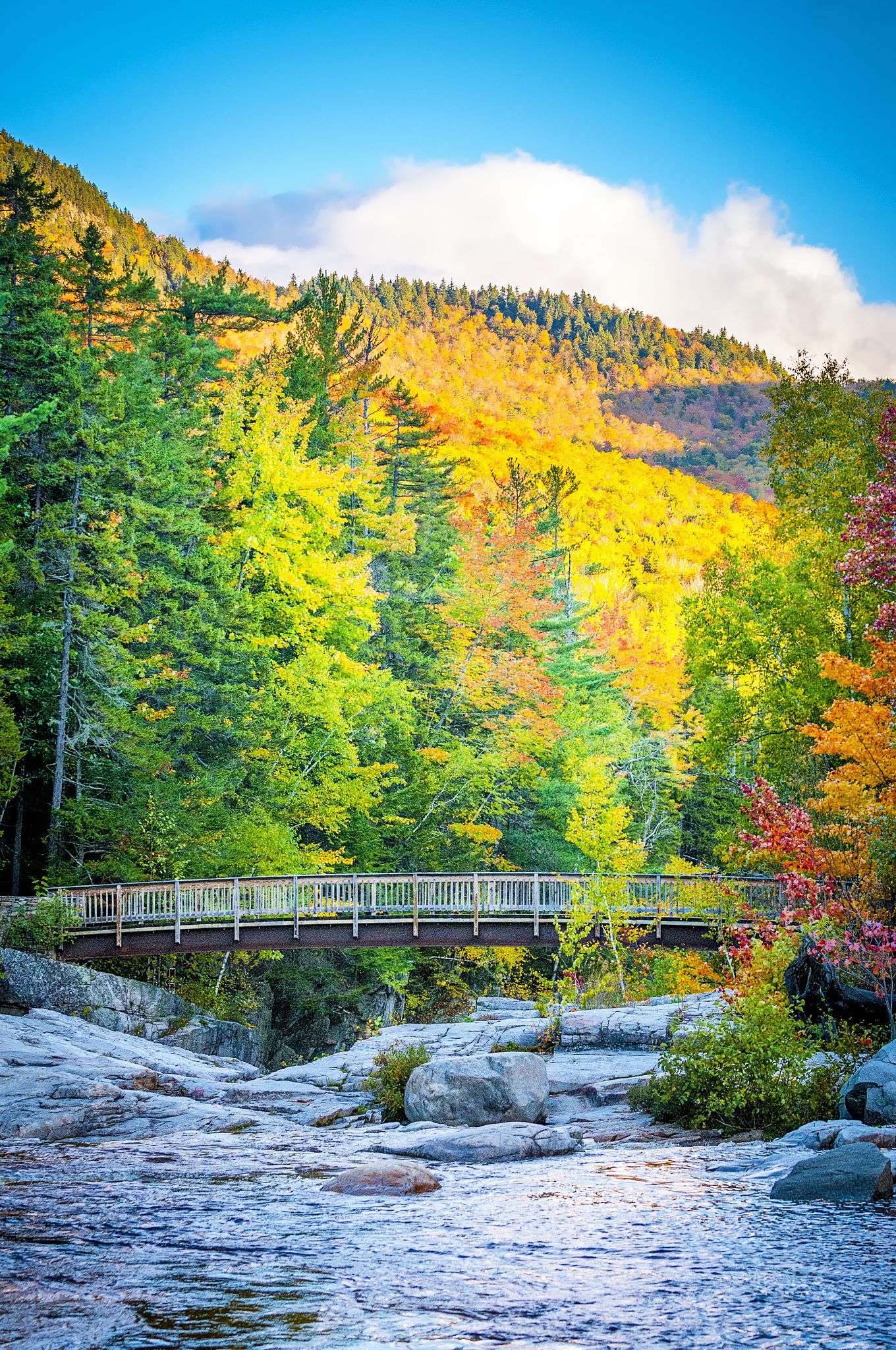 怎么用英语表达湖山也似乎有了灵性有了感触从中体味到那已然临近的秋天肃杀凄清的气氛