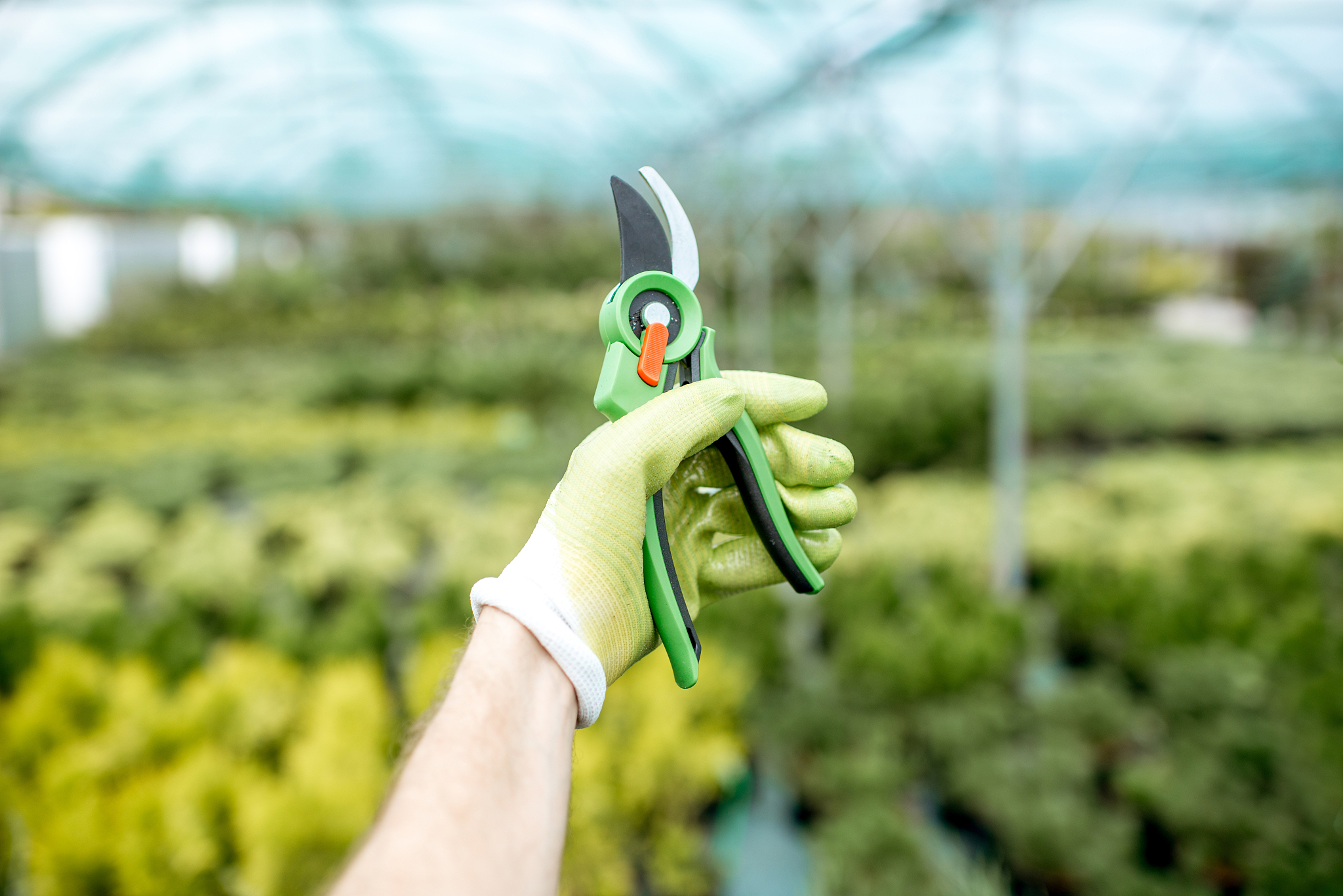 成都农业科技职业学院教学水平怎么样？ - 值得关注的农业科技发展方向