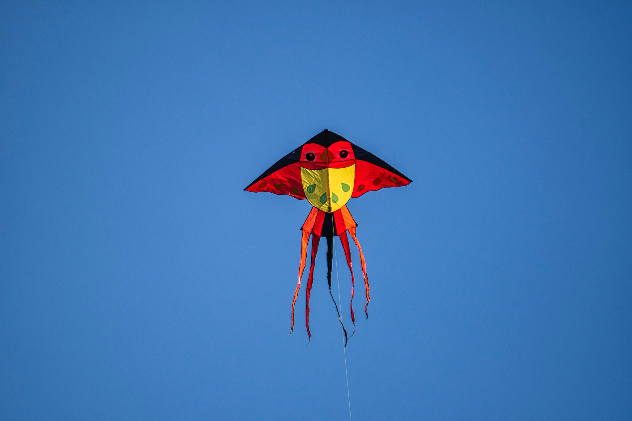 kite on the blue sky.
