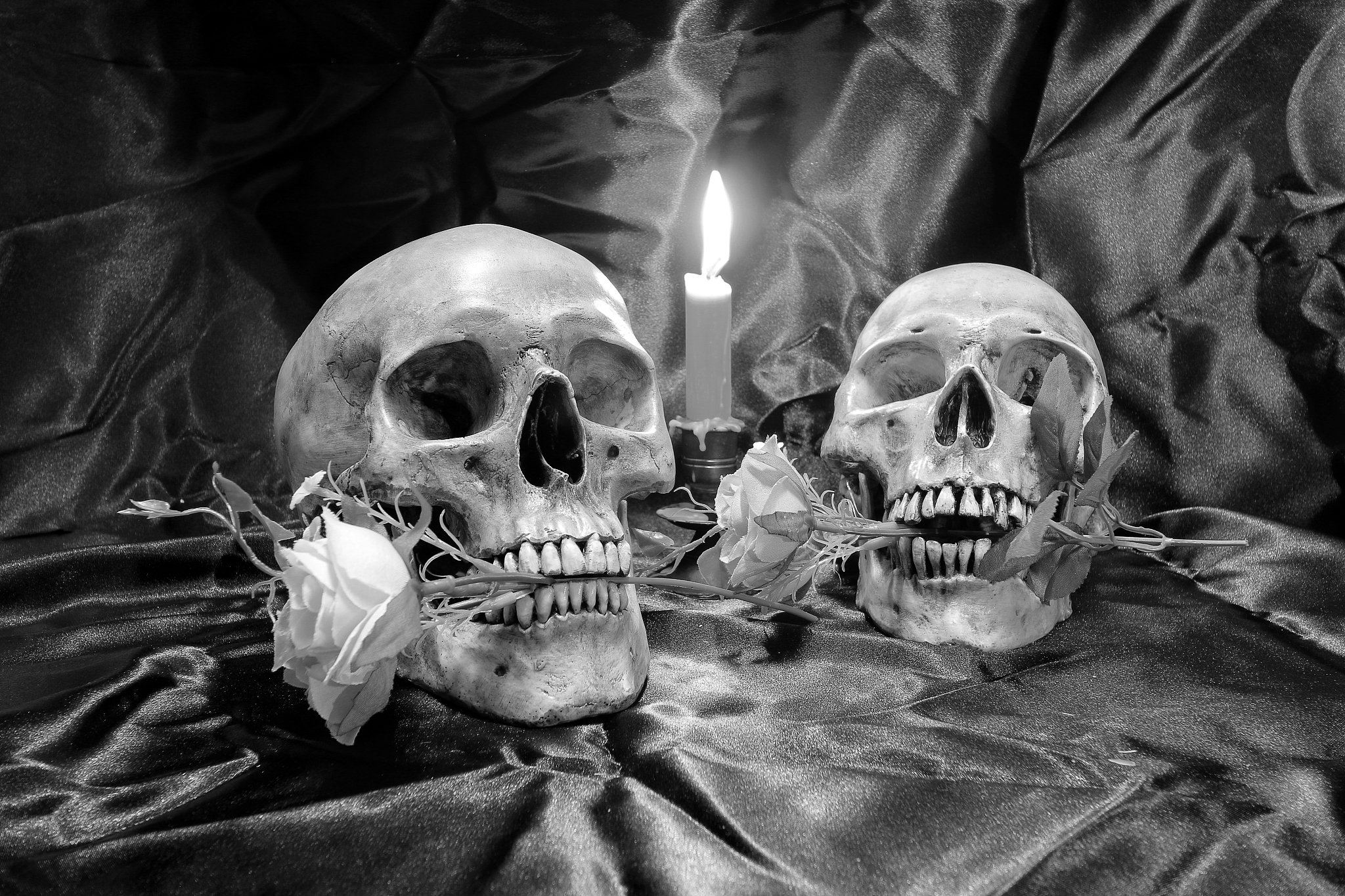 skull with bunch of flowers and candle light