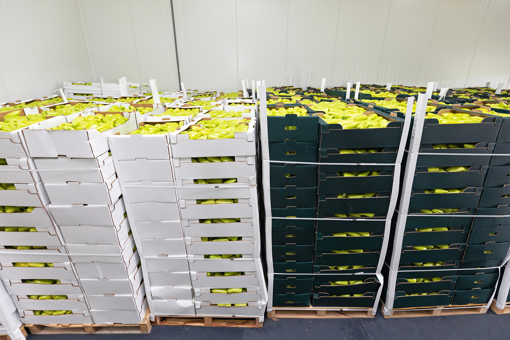 Write 100 words about a US cold storage project of 2200 square meters