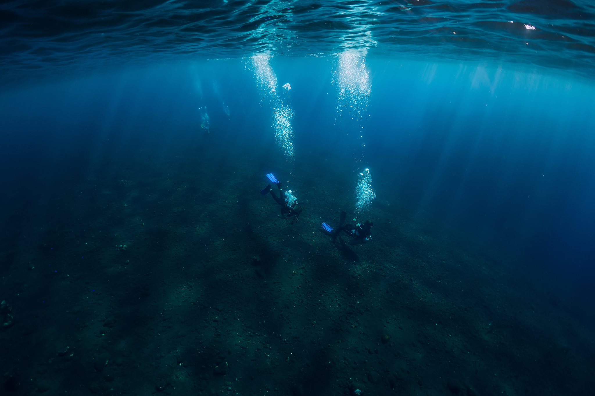 divers underwater at shipwreck in bali. diving in ocean