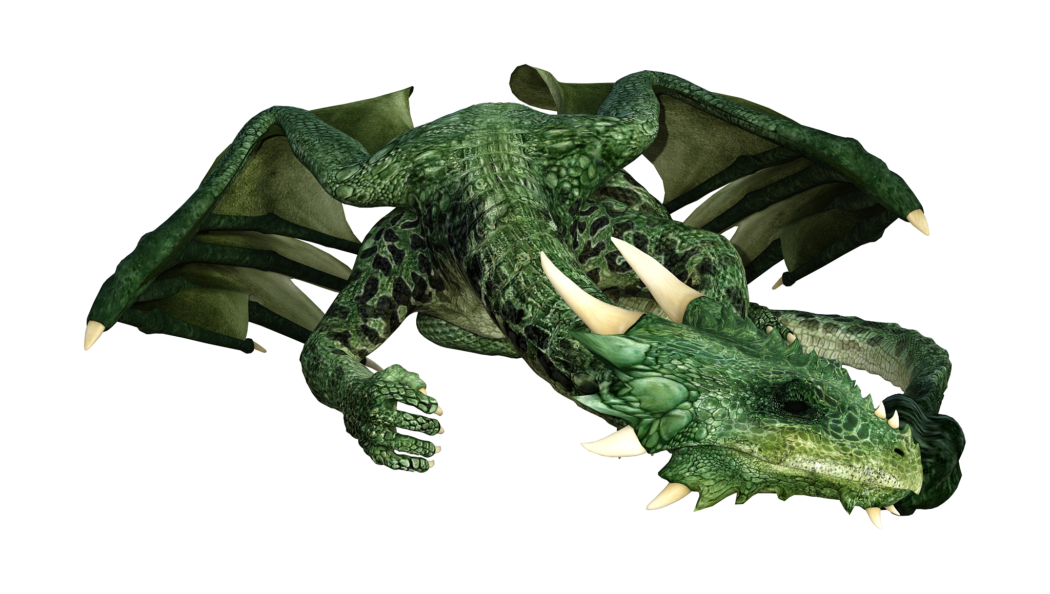 3d illustration fantasy dragon on white