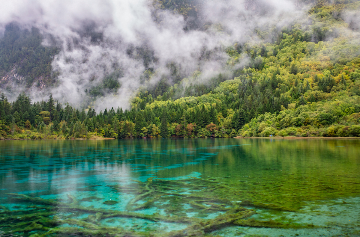 四川西部有哪些适合一日来回的景点