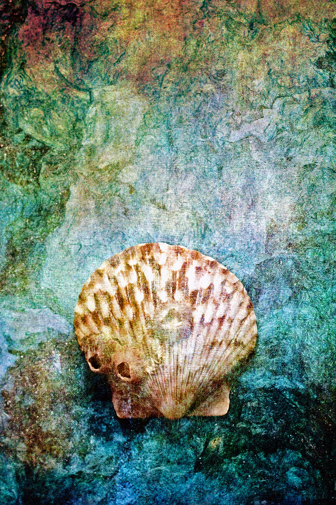 牡蛎艺术：令人惊叹的案例和创意 | 探索牡蛎贝壳的艺术魅力