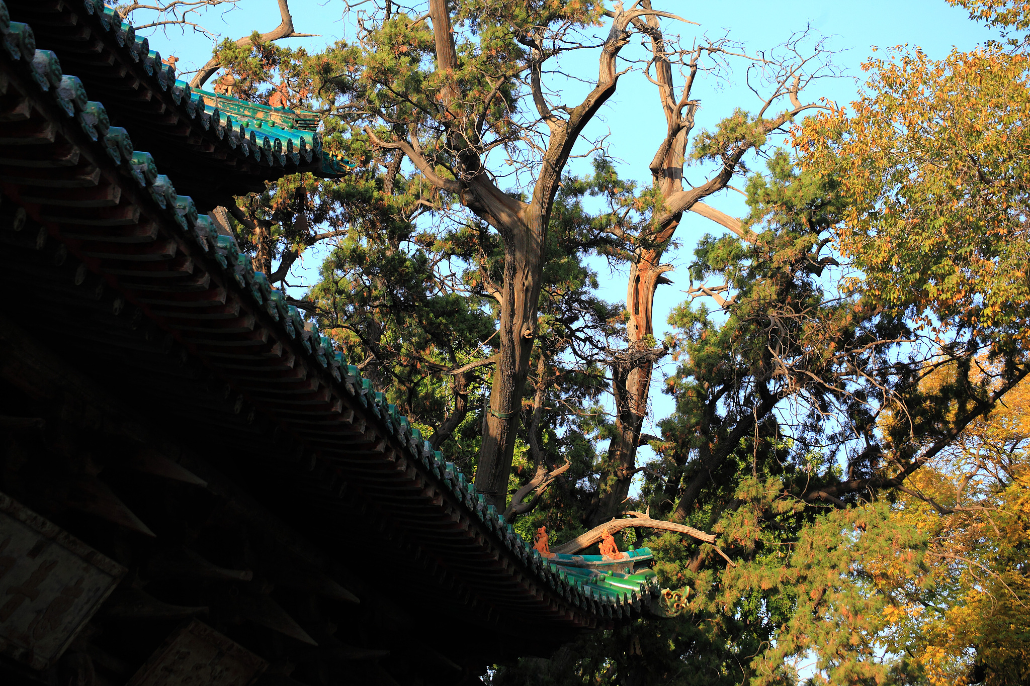 中国宋代木构建筑 太原晋祠 圣母殿