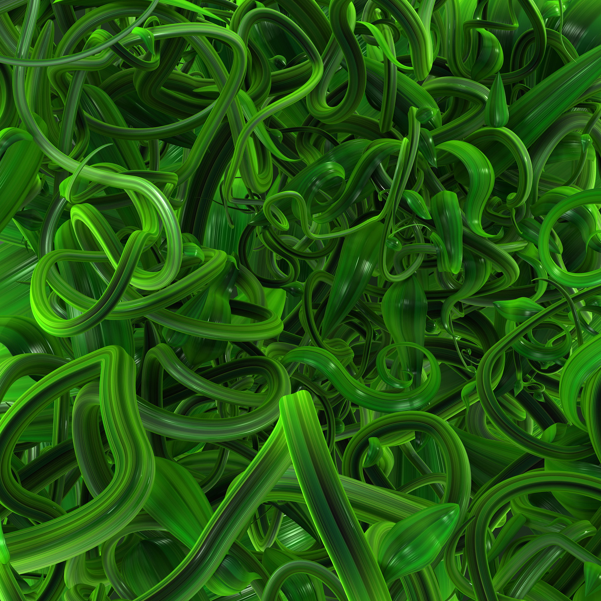 plant vines green, dense growth