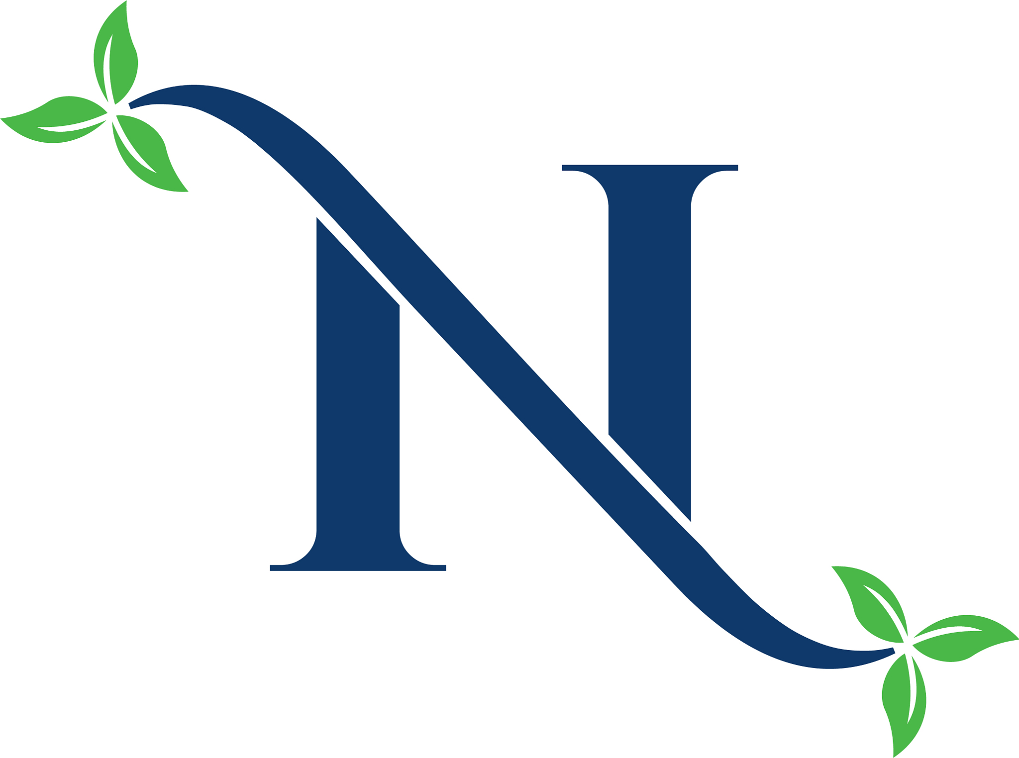 n nature leaf logo design