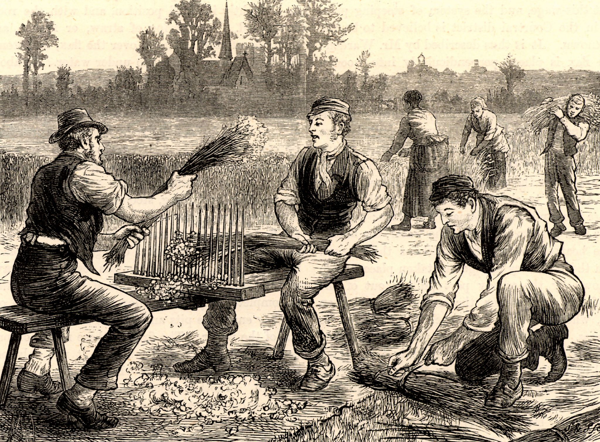 近代史中的自给自足小农经济：特点、衰落和影响