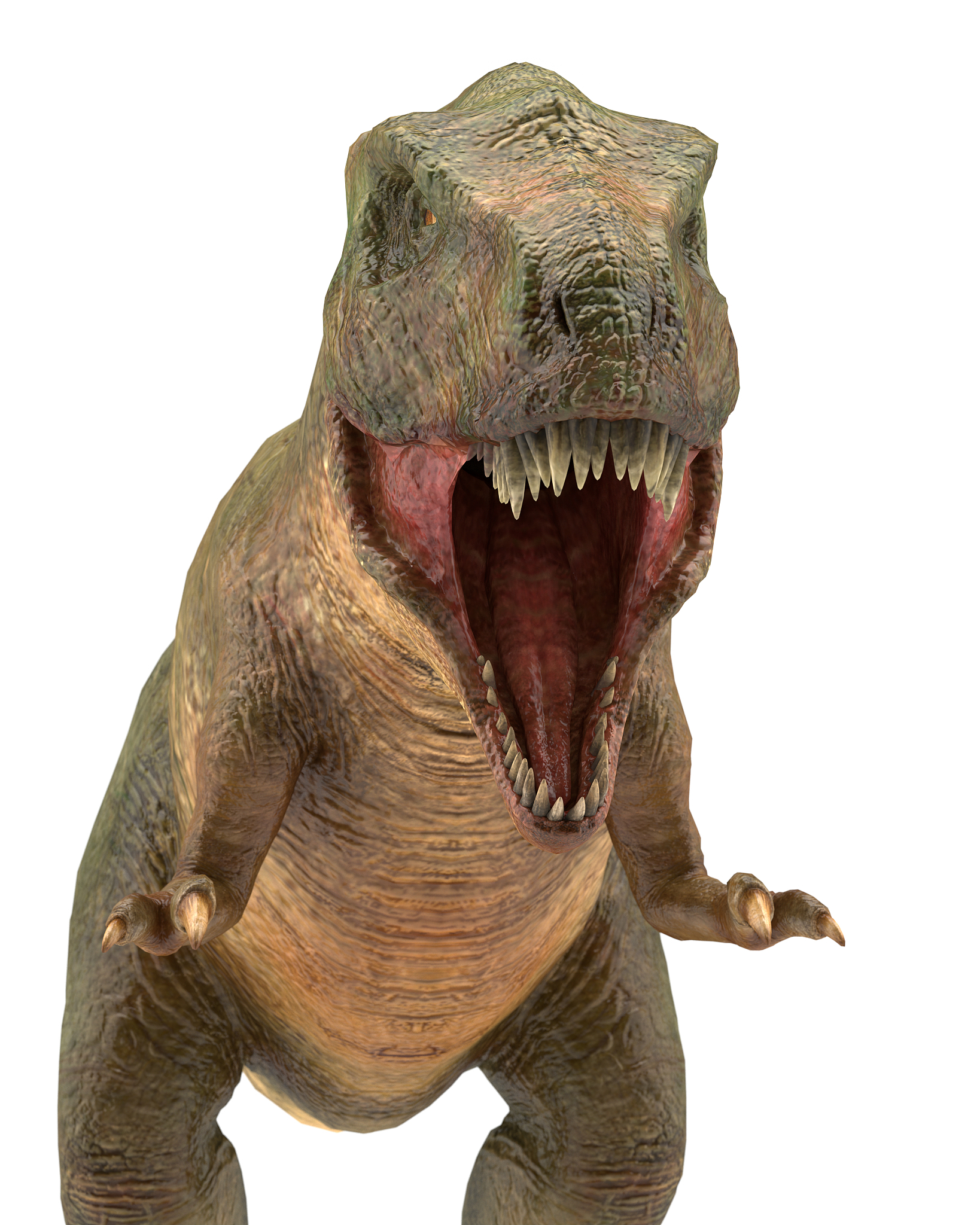 t rex