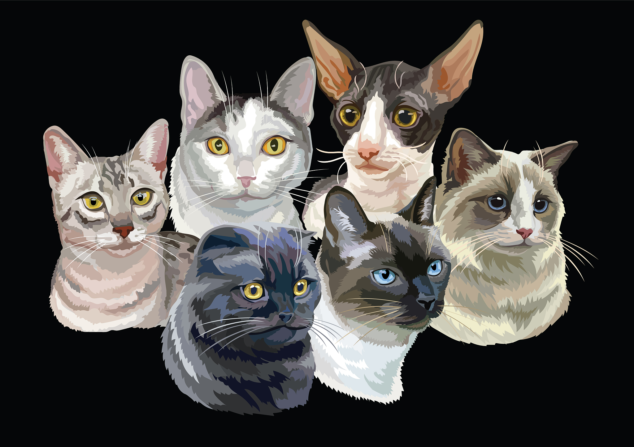 Edward the Cat: A Charming Feline with a Mischievous Streak