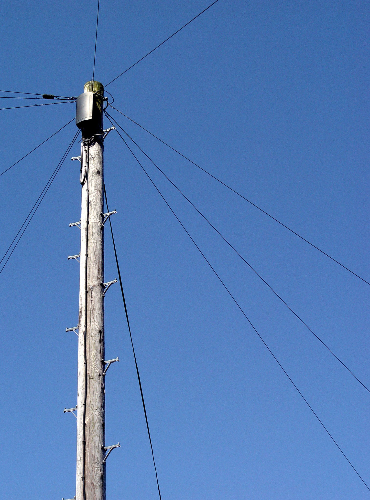 telephone poll