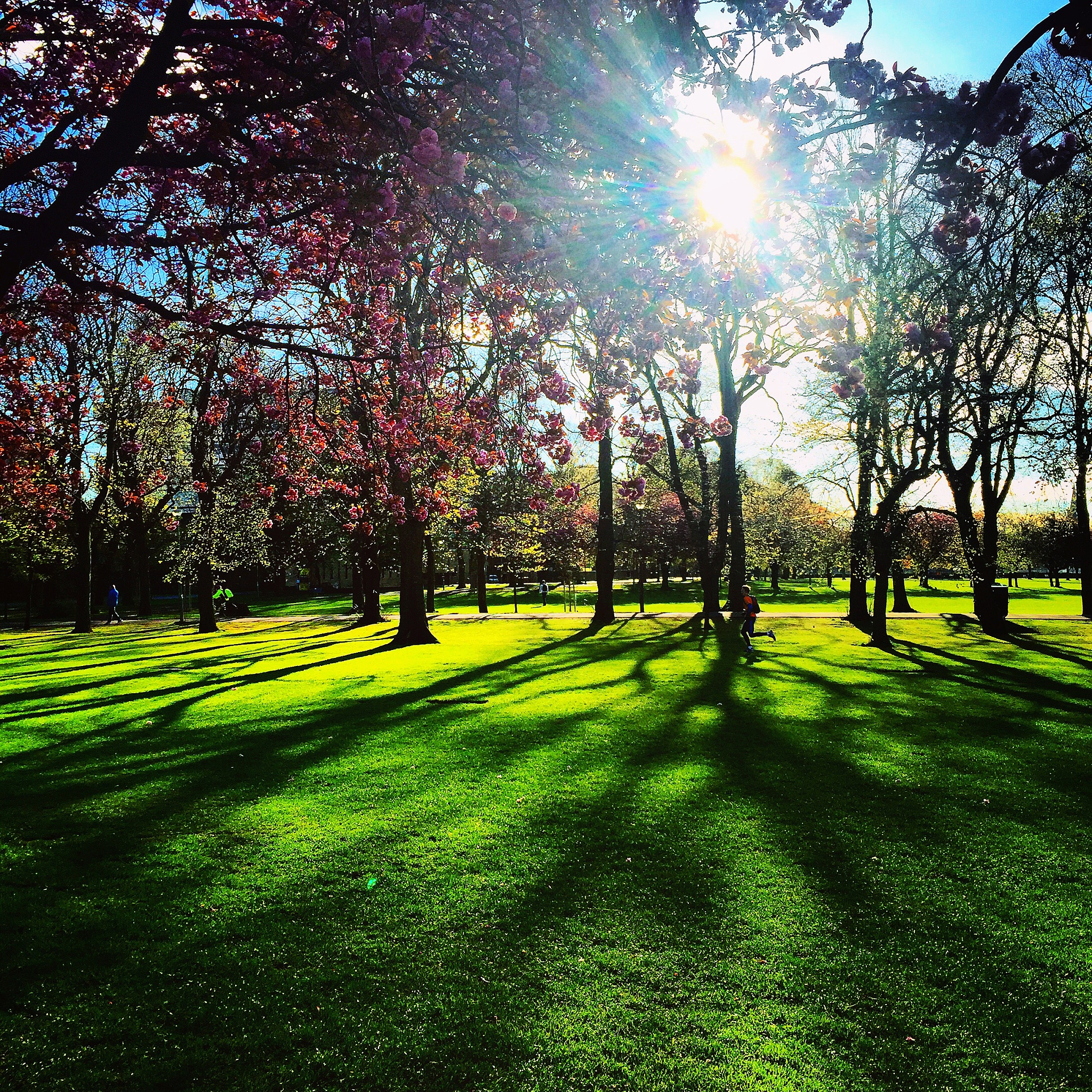以你的语言帮我写篇QQ动态最好能简洁一点让人眼前一新