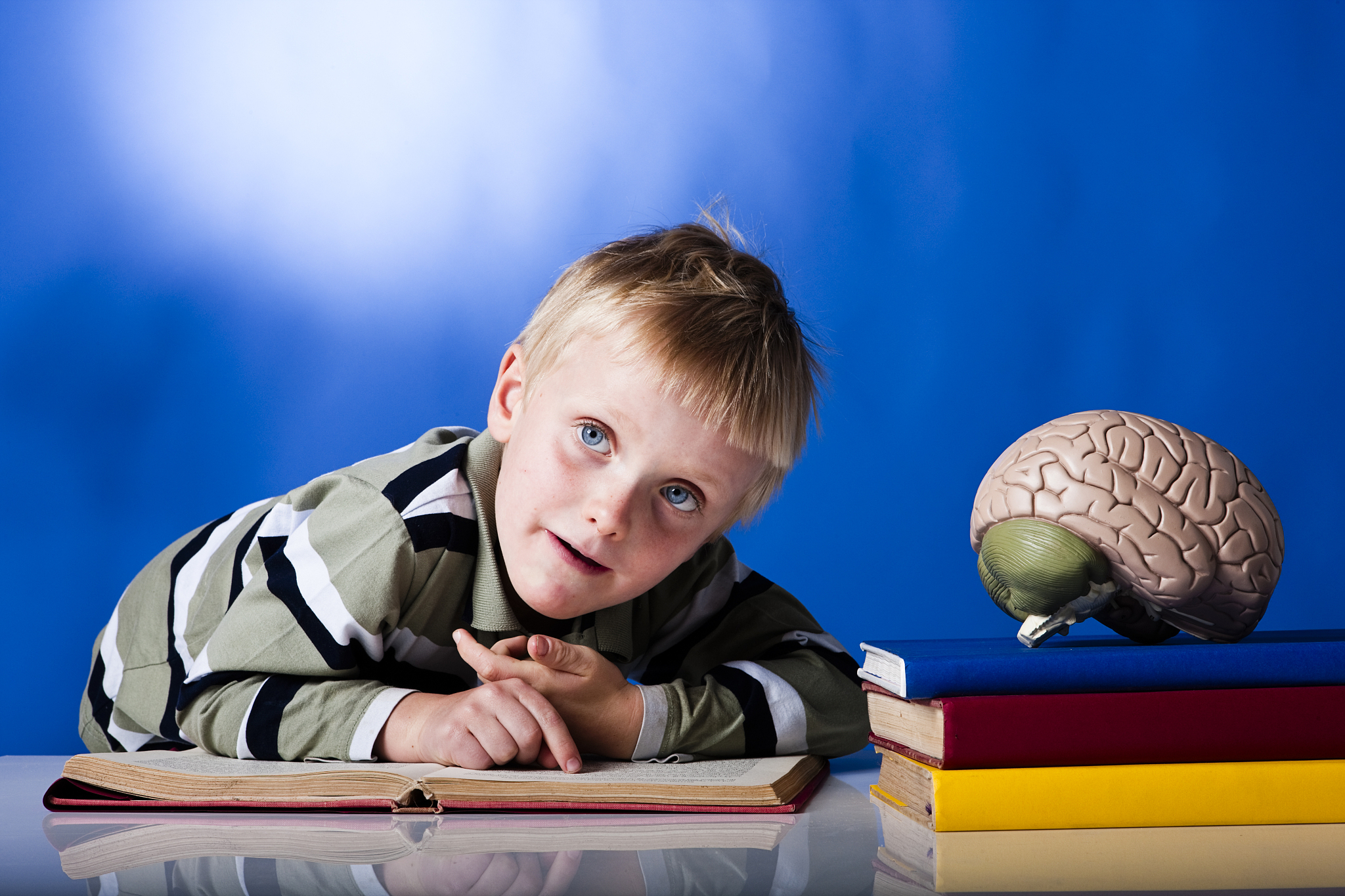 boy, brain, books