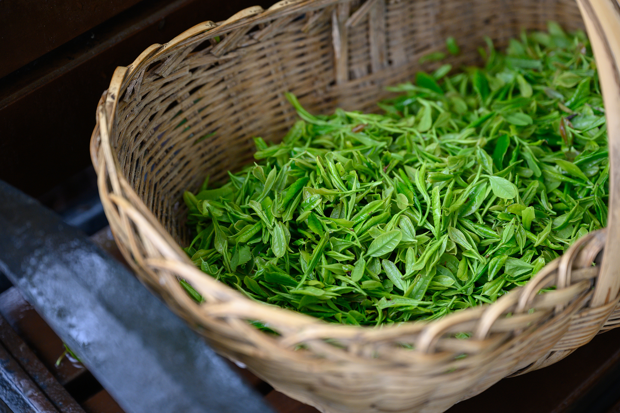 信阳毛尖的购买人群有哪些