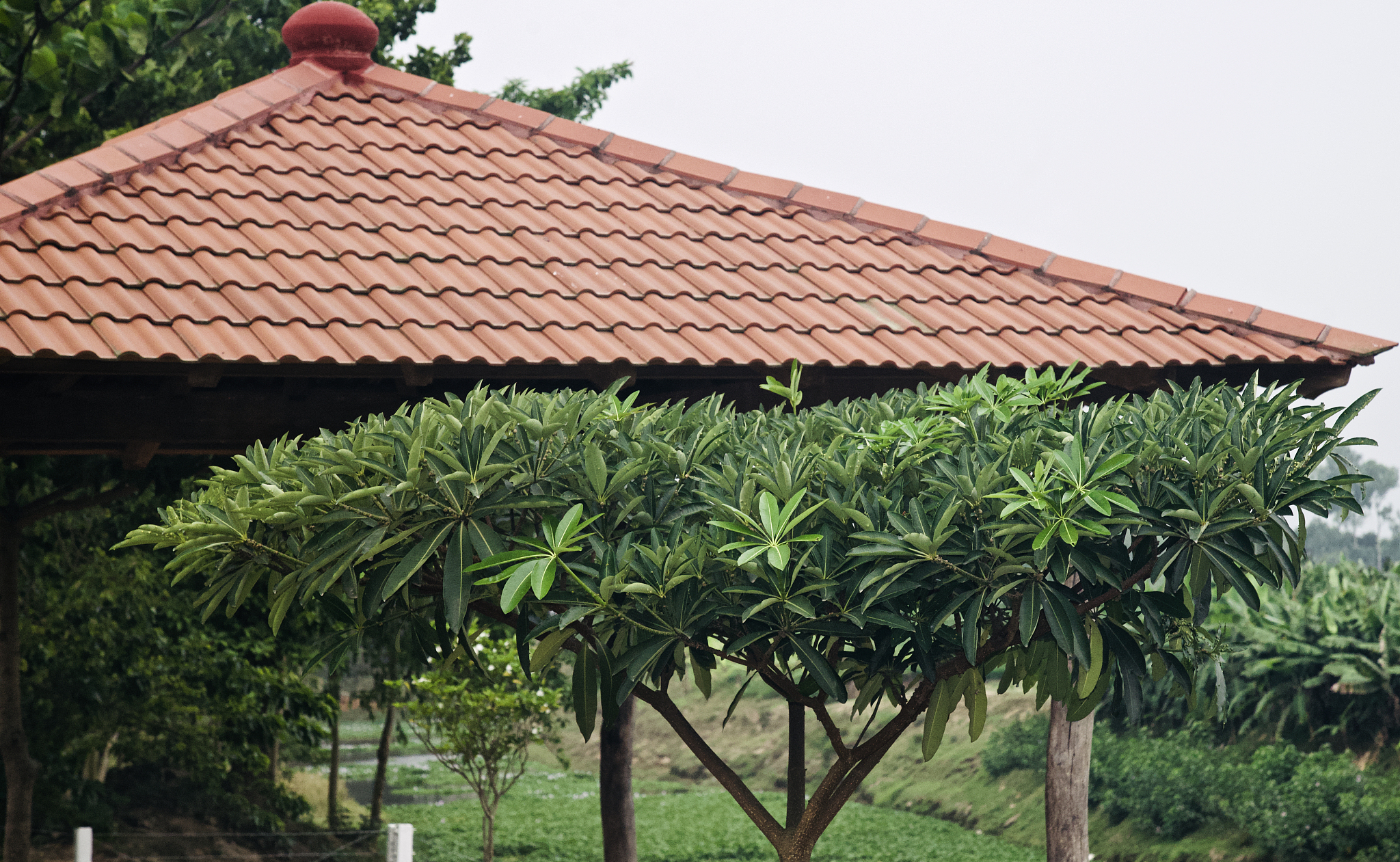 土木工程近两年的关于绿色建筑的新技术