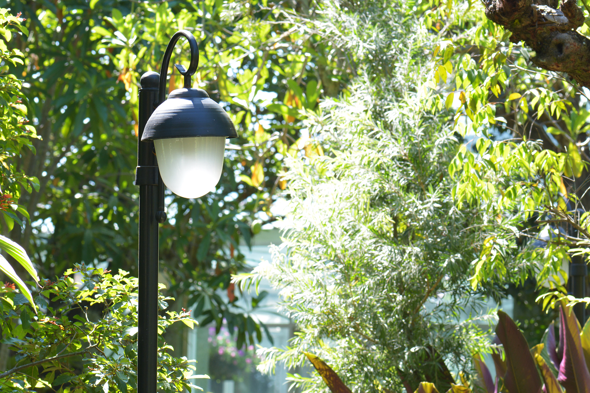 卤素大灯VS LED灯：哪个更好？