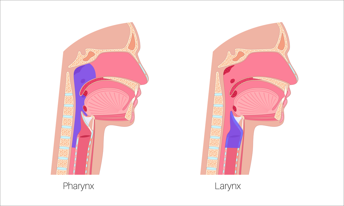 气管插管后多久能恢复说话？