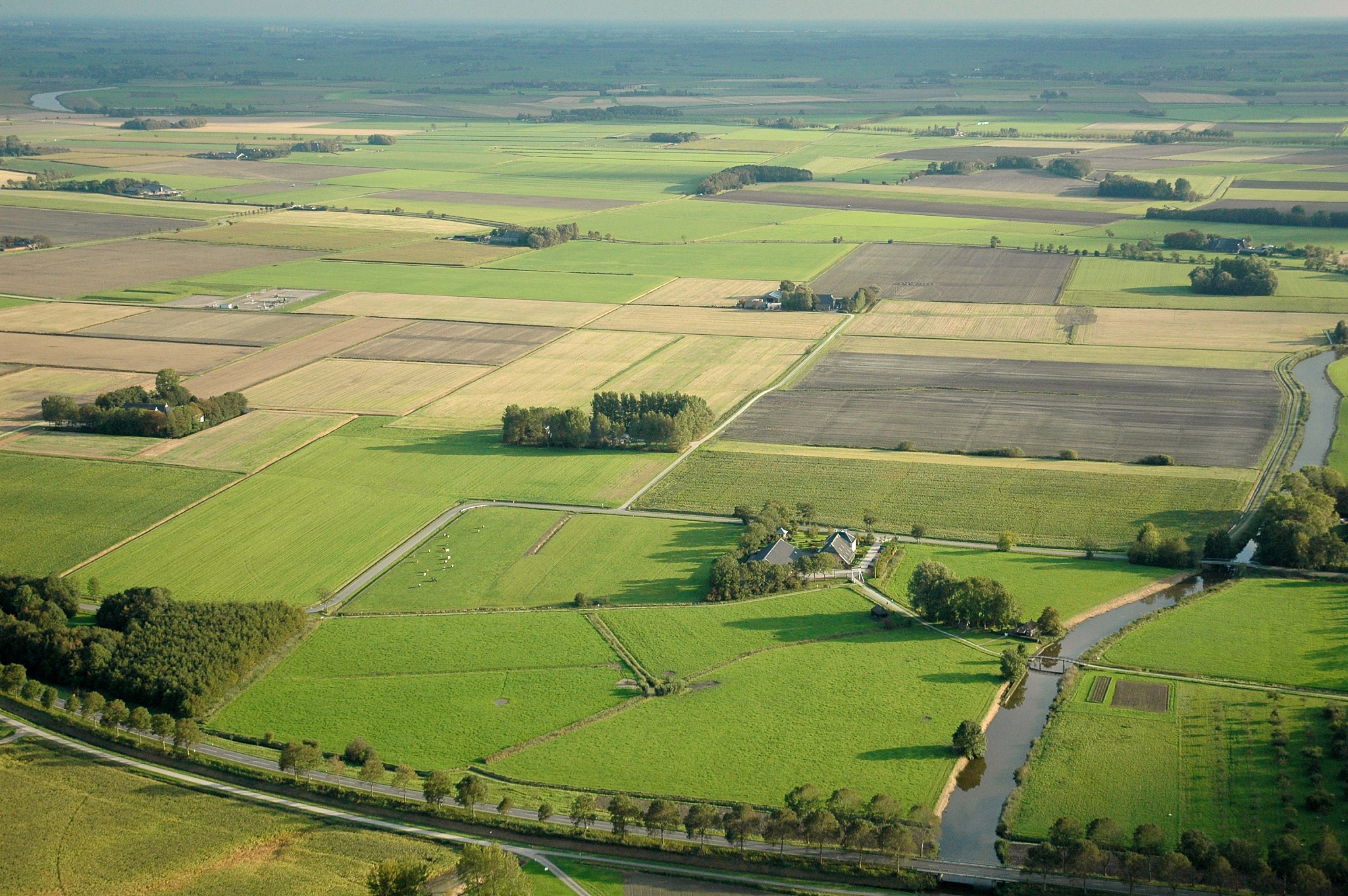 landscape in green