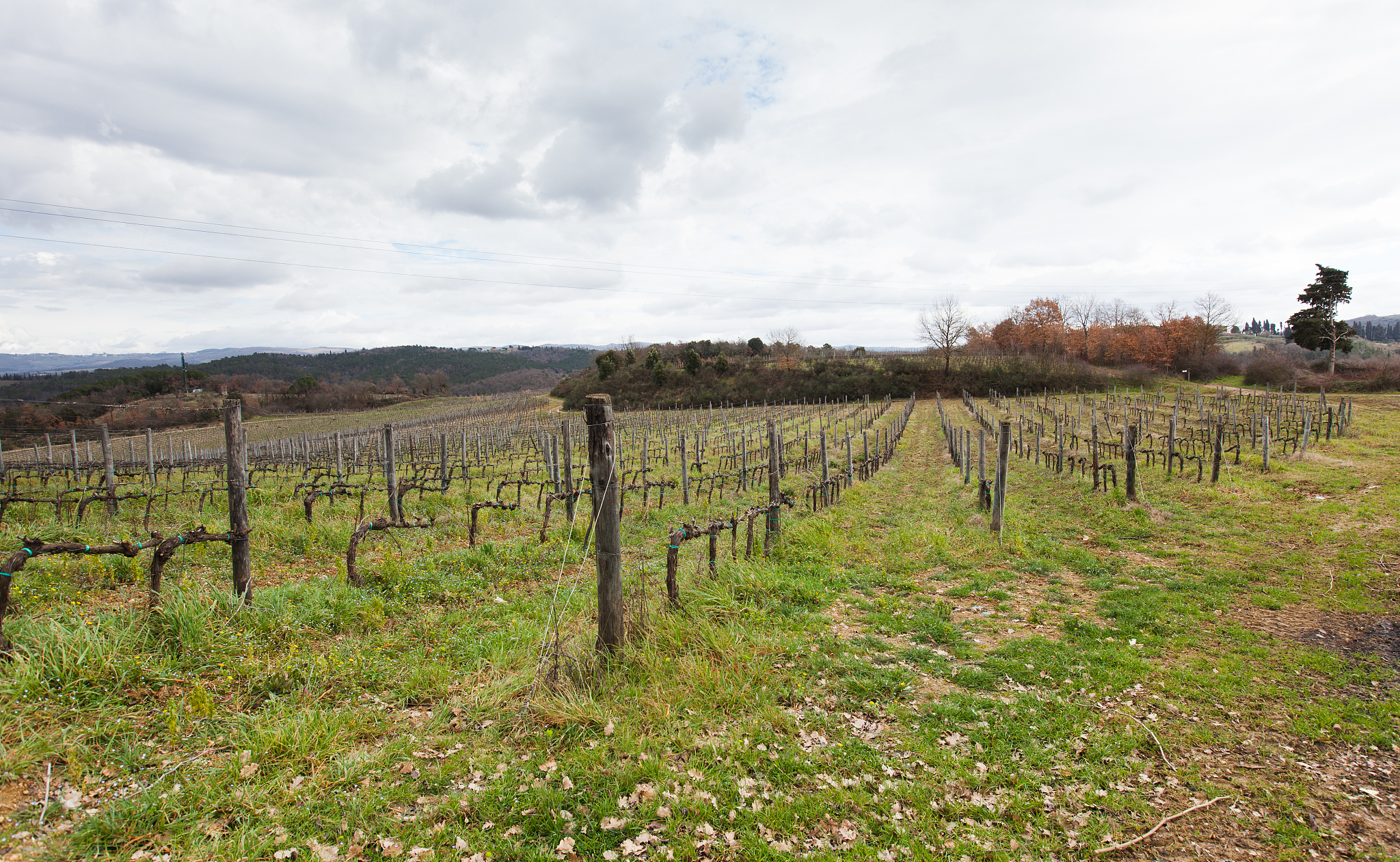 Cerrajeros 24 Horas en Montecarmelo: ¡Tu solución rápida a cualquier problema!