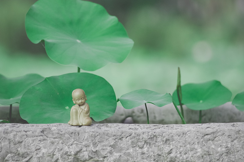 佛说‘众生皆苦’：人生八苦后的幸福 | 寻找平凡中的不平凡