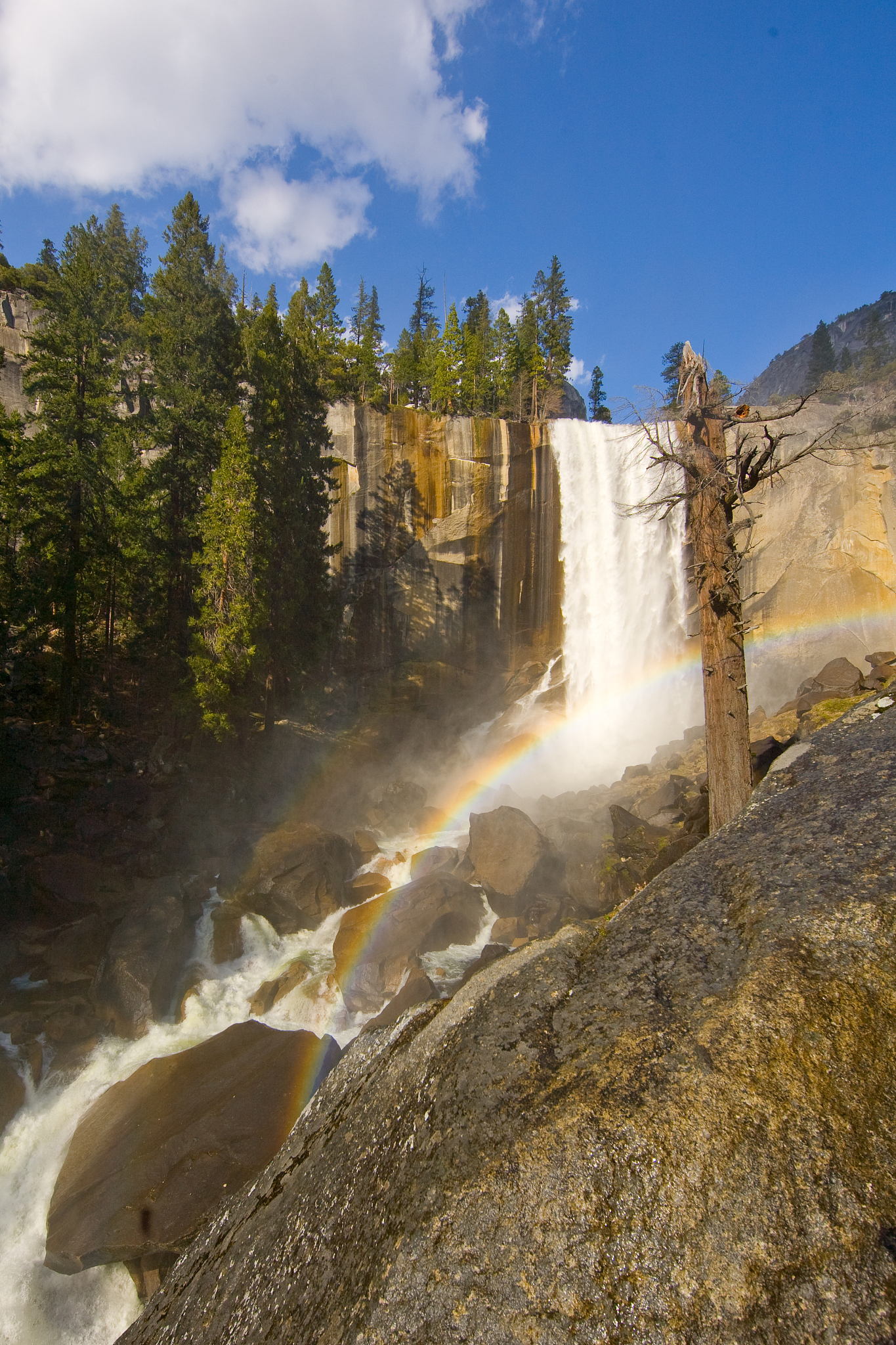 黑龙江旅游职业技术学院旅游管理专业好就业吗