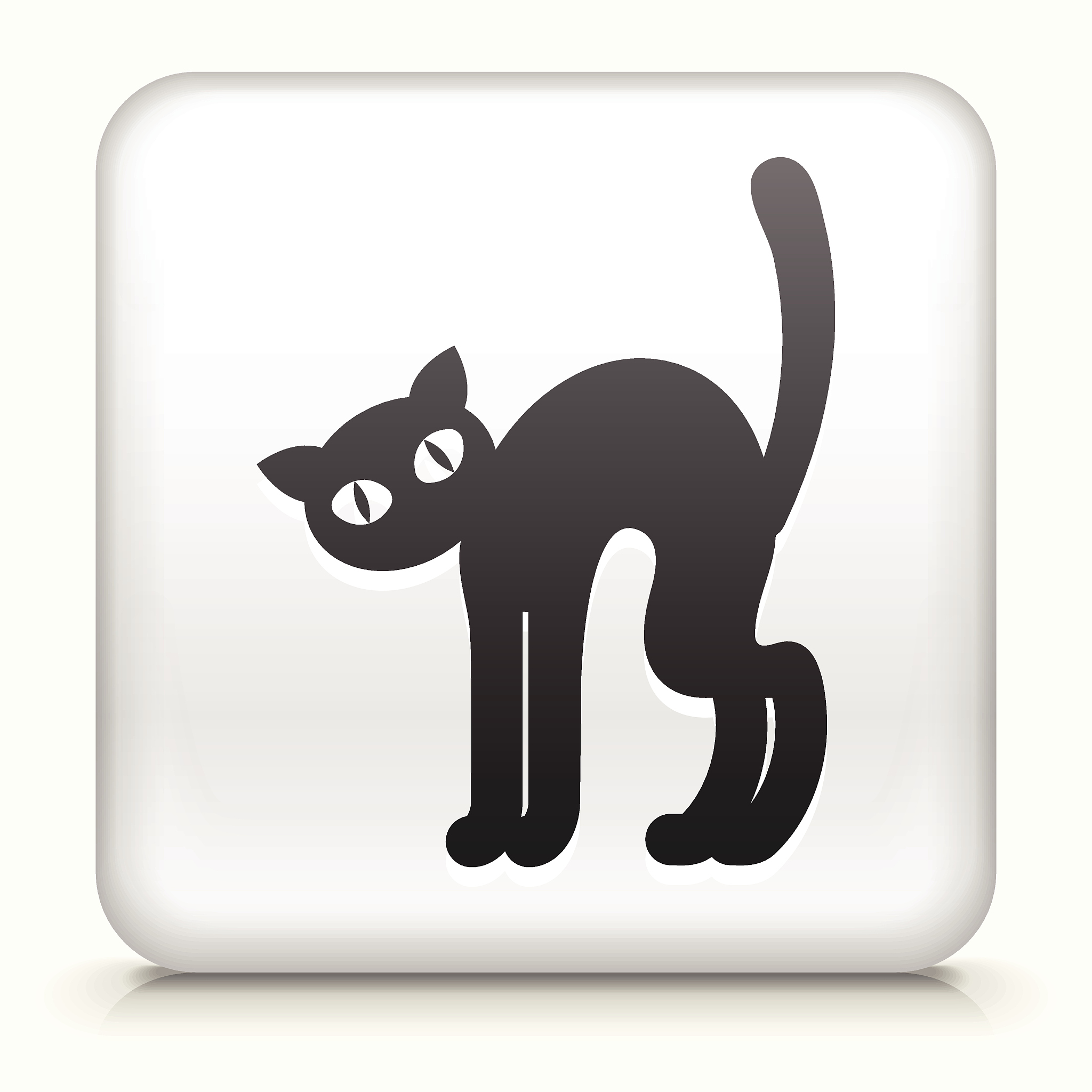 用HTML5、css和JavaScript写一个功能