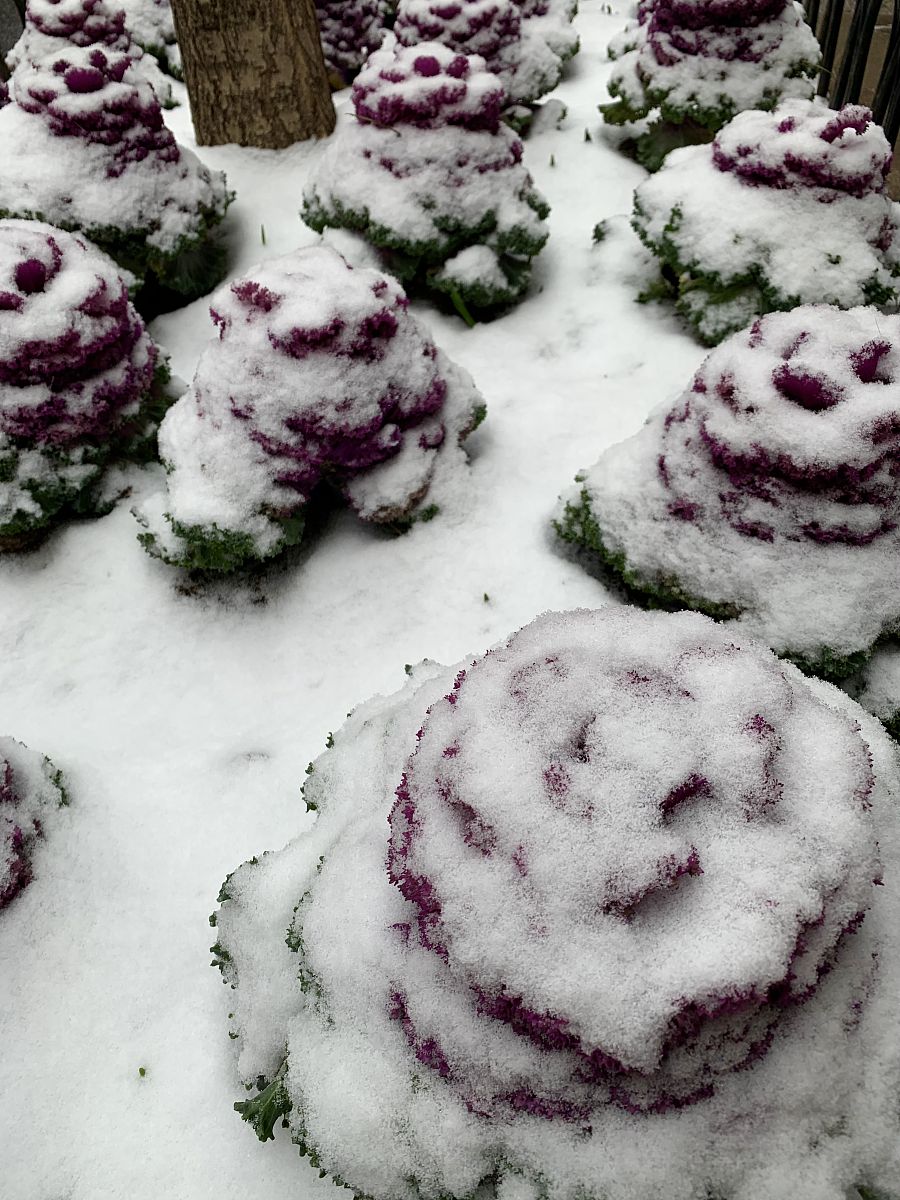 函数语句覆盖测试用例：流程图与测试方法