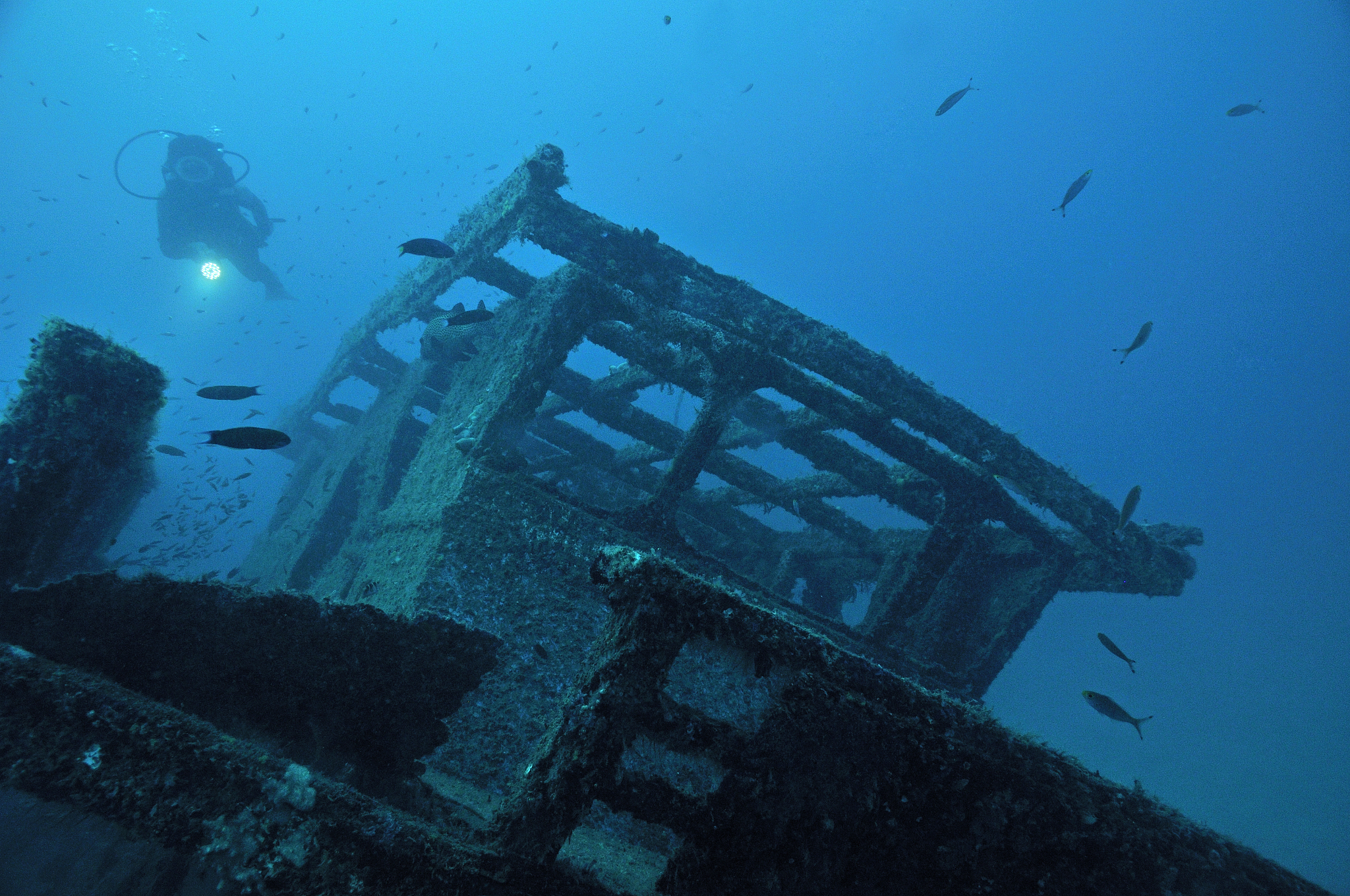 woman diver with torch exploring shipwreck