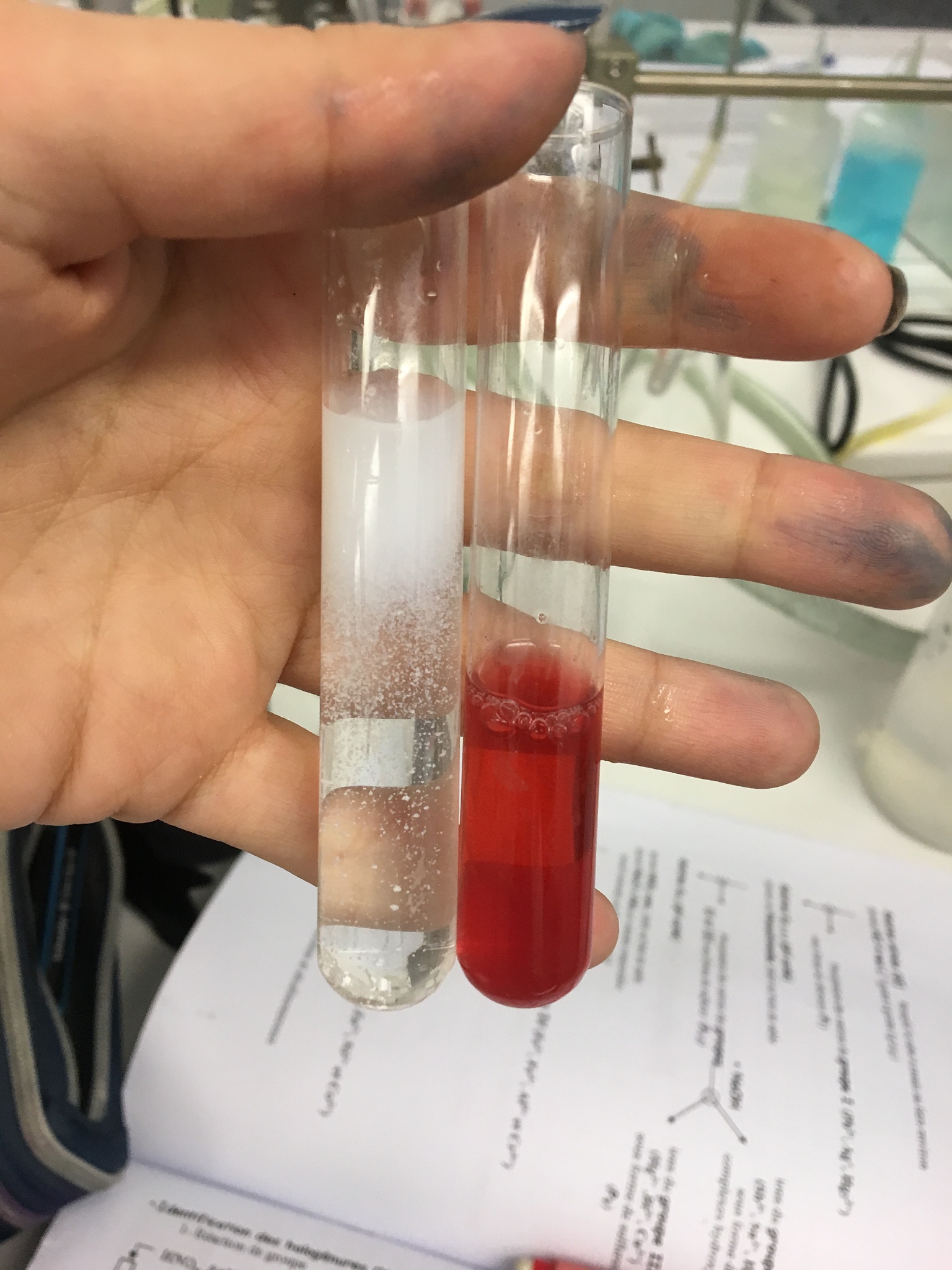 未知菌种血标本鉴别：苛养菌和需氧革兰阳性杆菌