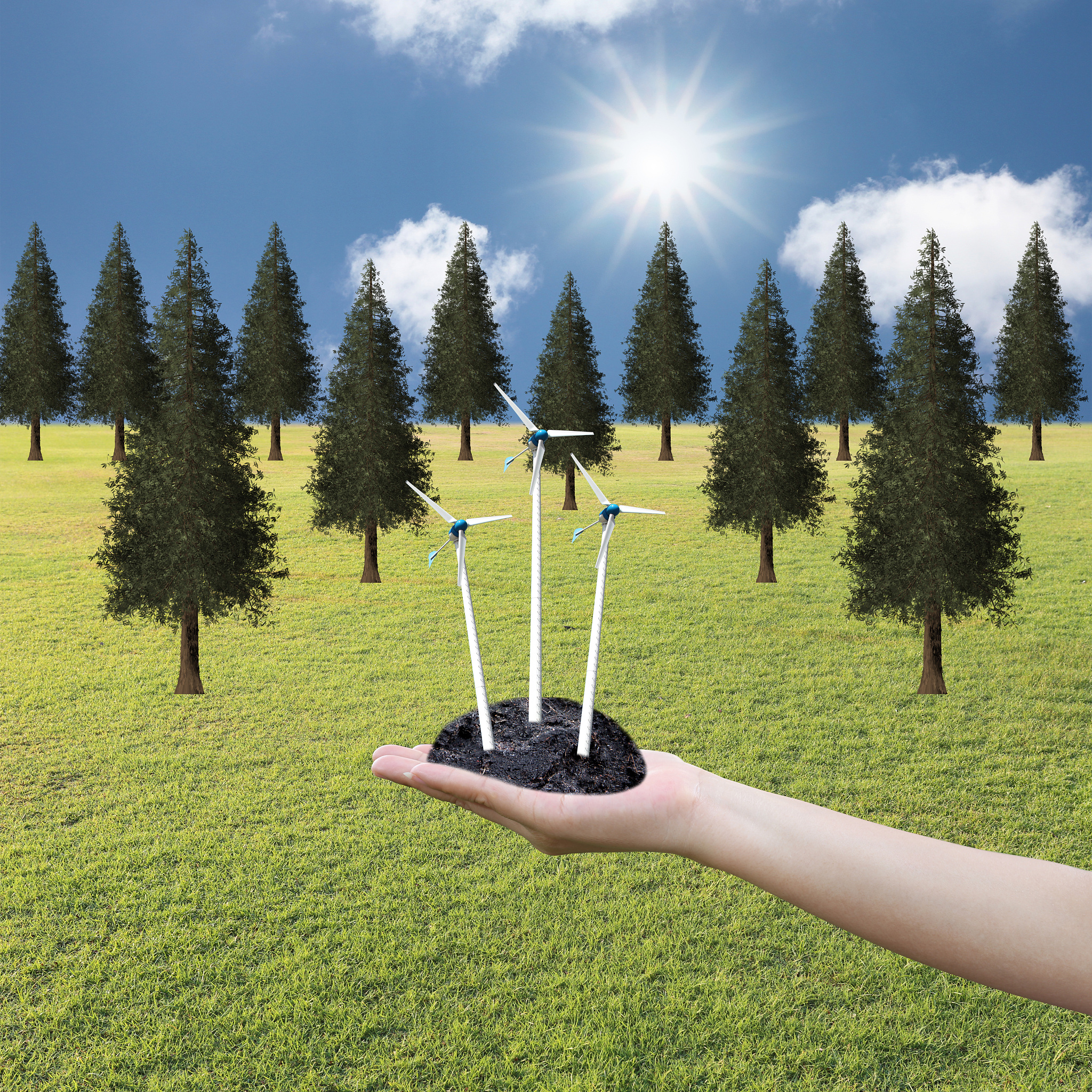 森林草原资源保护措施：维护生态平衡的有效方法