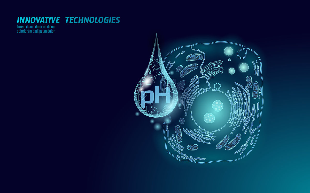 烟台理工学校招生电话_好不好