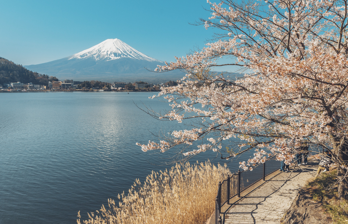 日本：我心目中的最佳旅行目的地