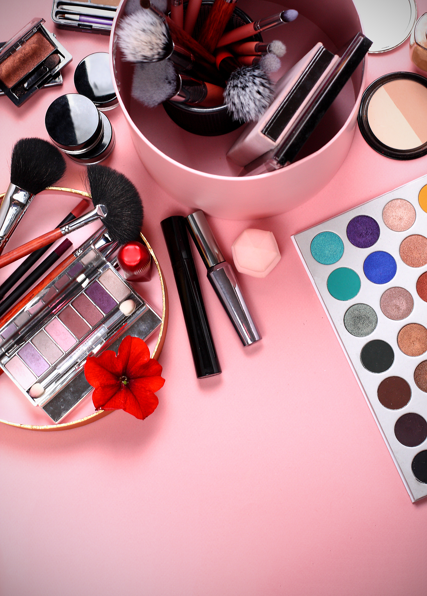 小红书：你的生活百科全书，记录美好，探索无限可能！