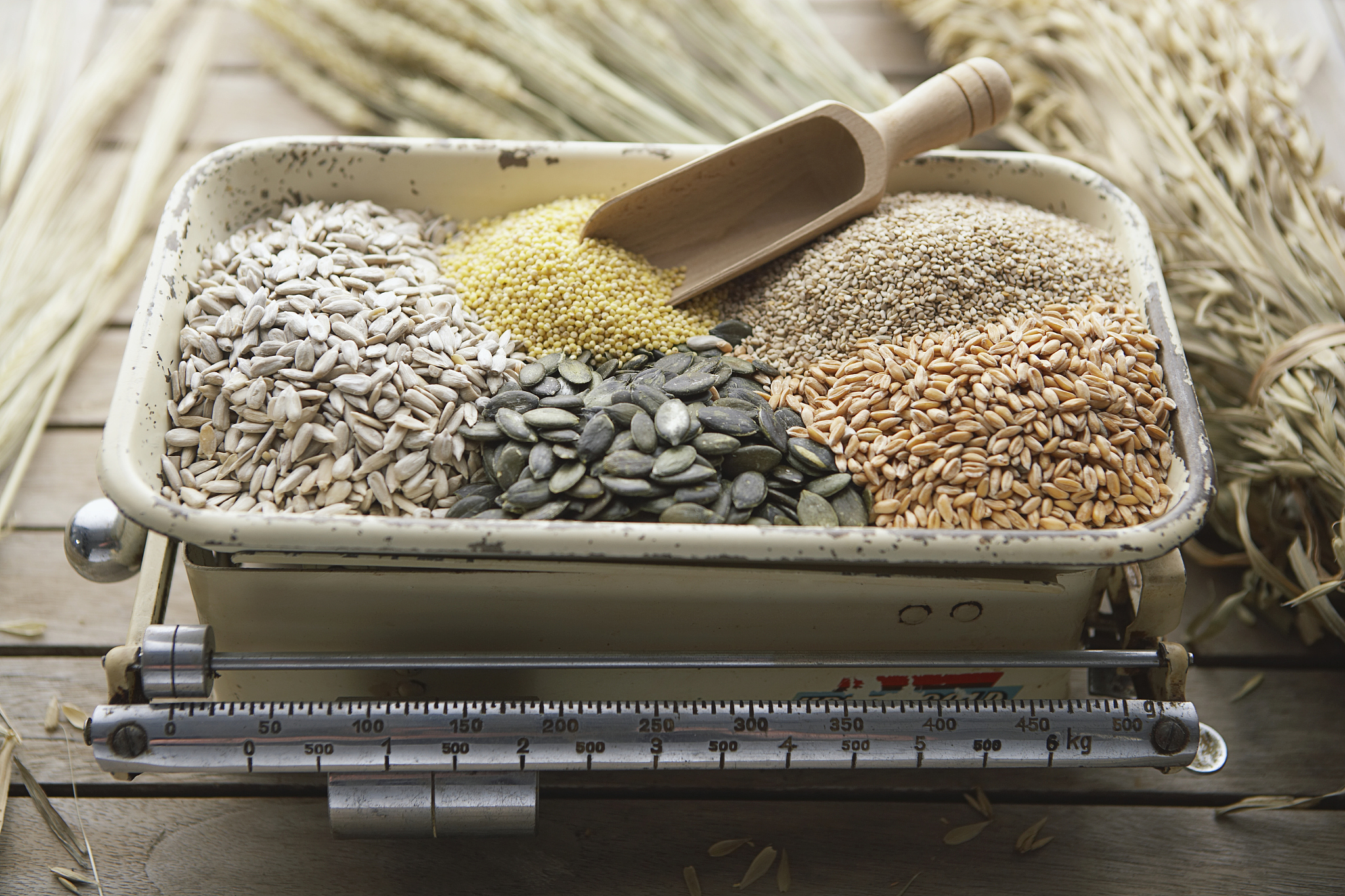 健康档案管理系统：便捷管理您的健康信息