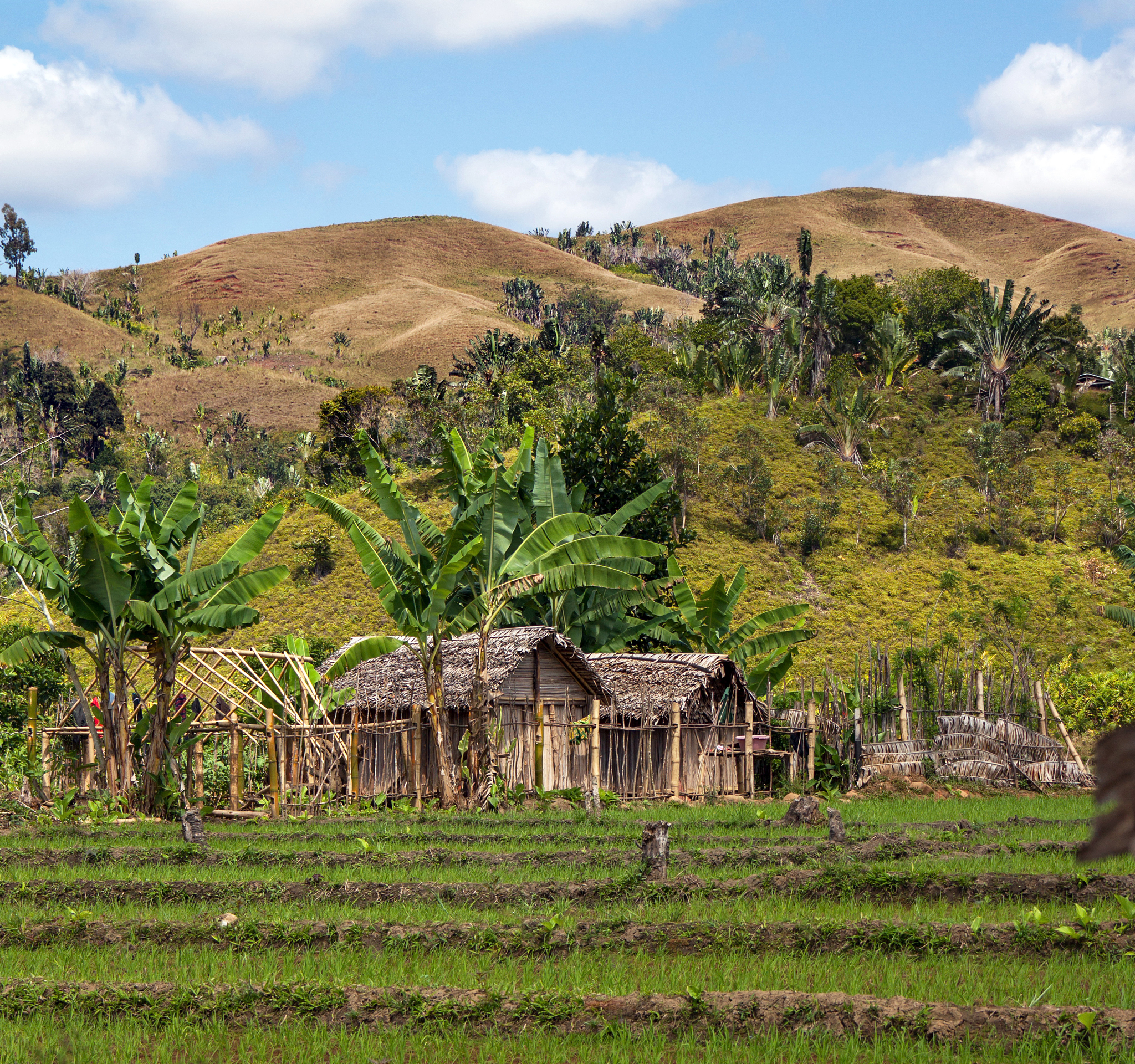 马达加斯加现代化农场投资计划