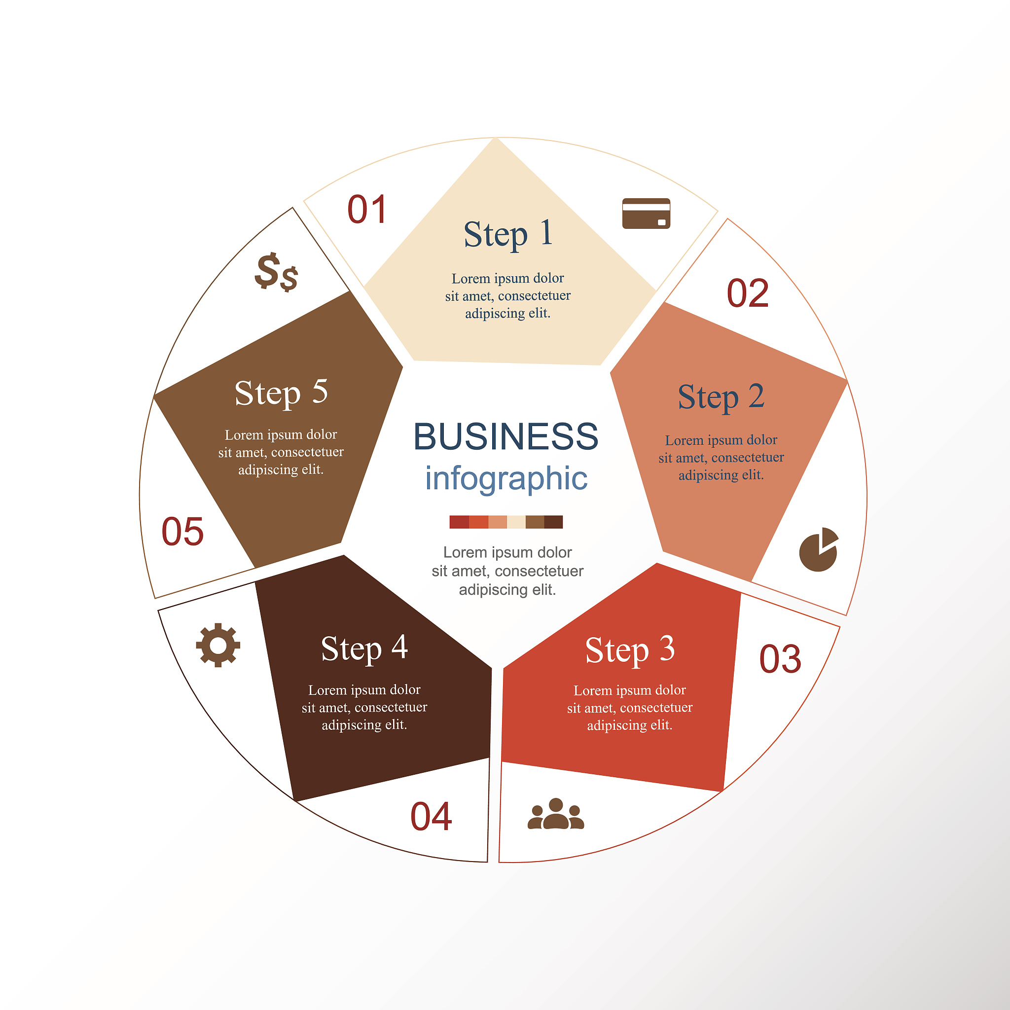 vector infographic