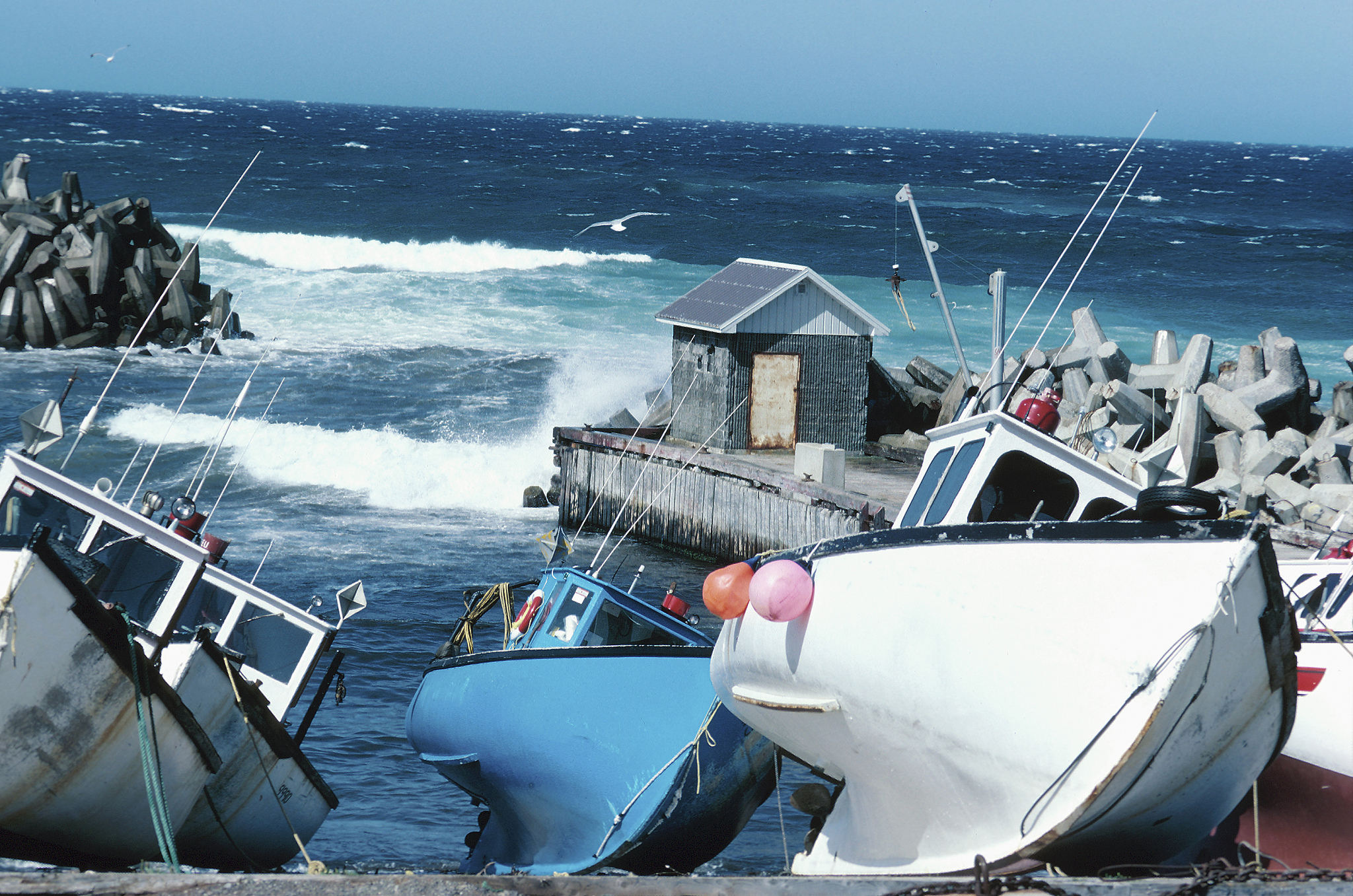 Sailing: Fun, Exhilarating, and Tranquil Sailing: Fun, Exhilarating, and Tranquil