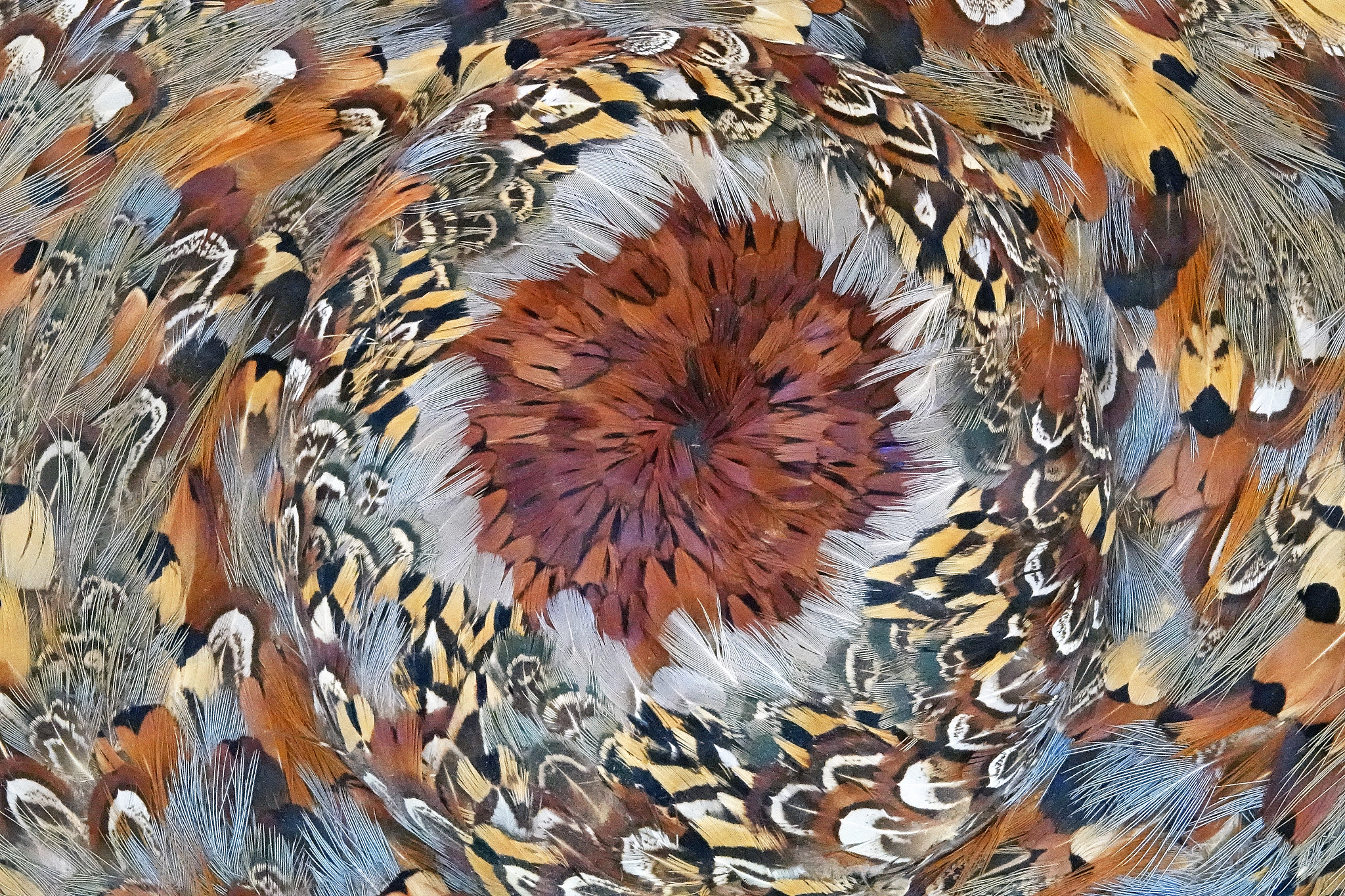 pretty feather patterns