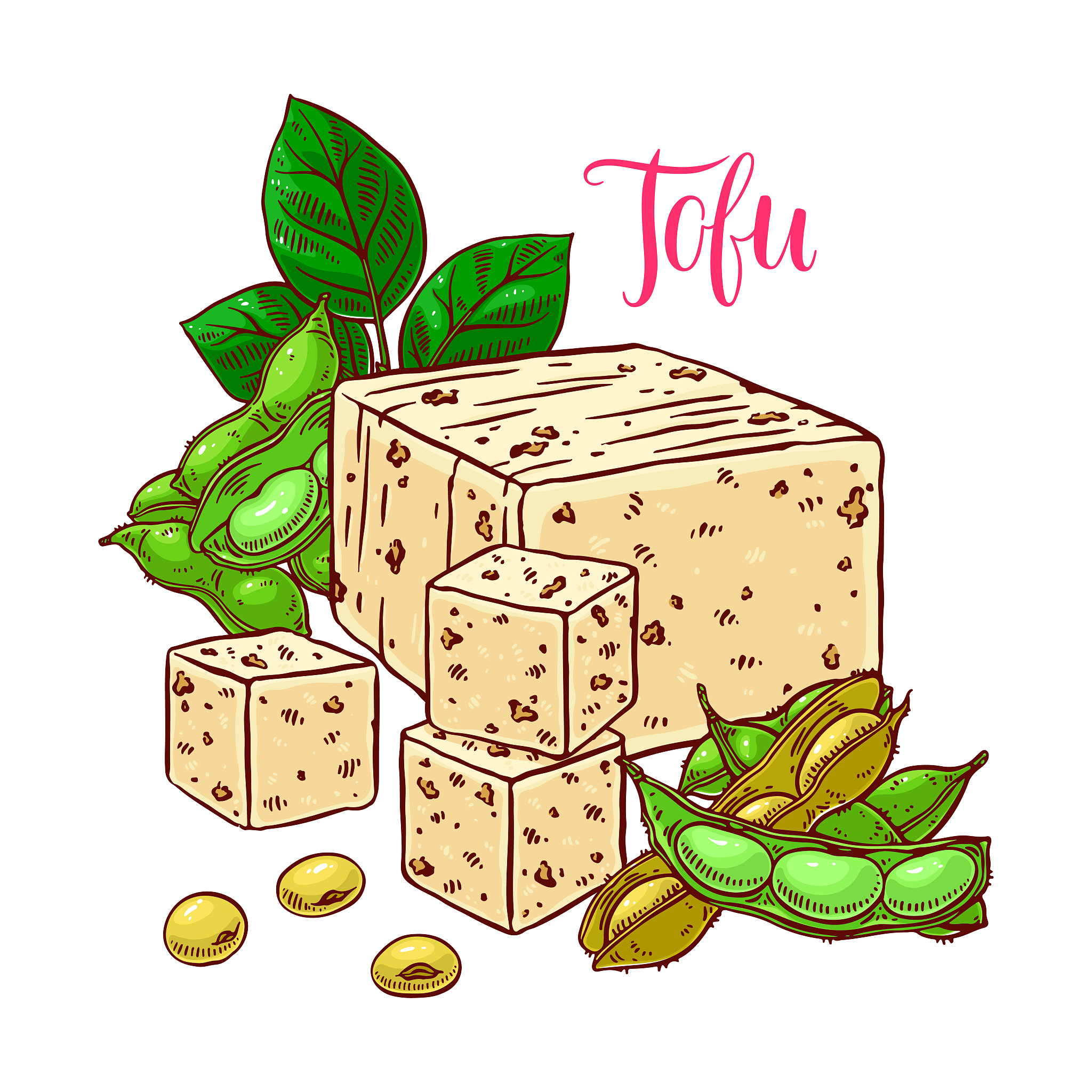 Brazilian Soybeans: Description, Uses, and Benefits