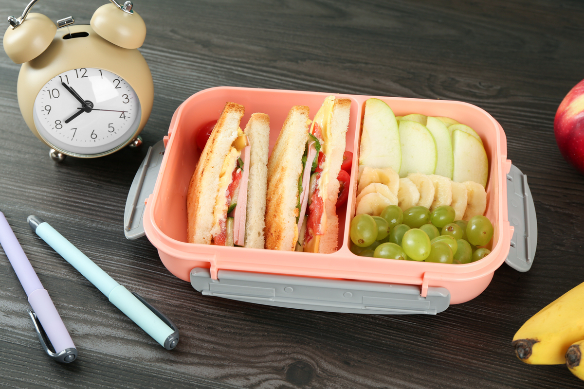 用中文重写这个标题Portable Fast Heating Sandwich Maker Mini Toaster具有更好的可读性长度不要超过200个字符