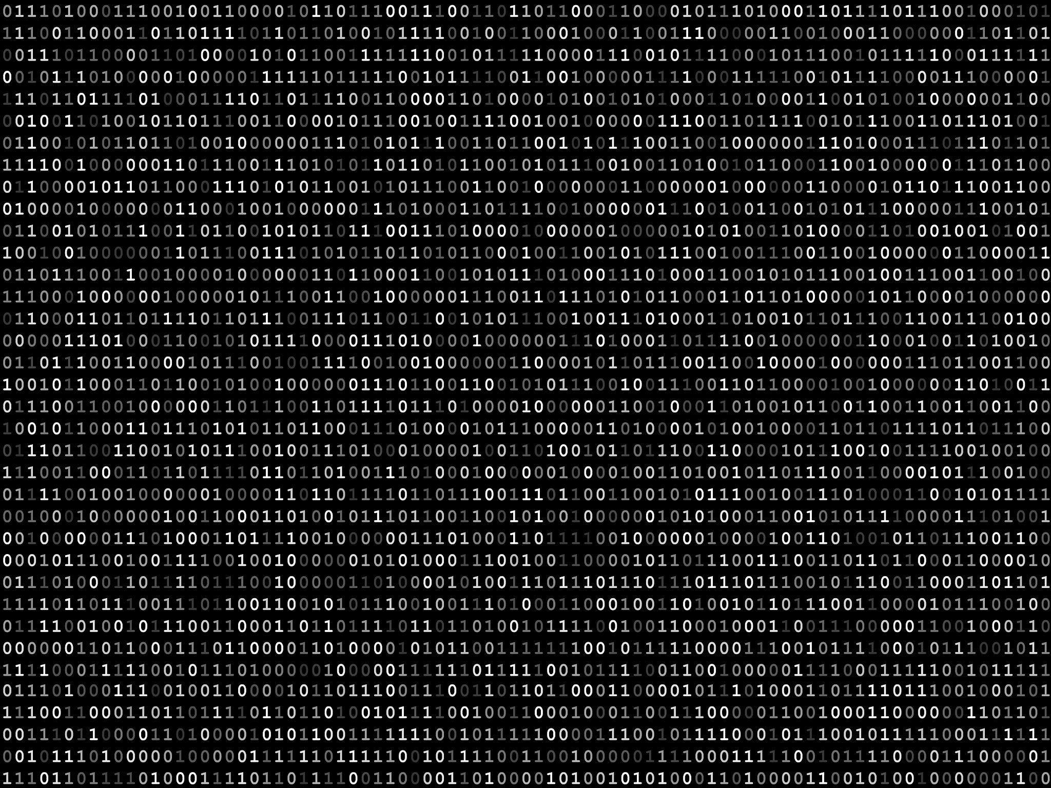 blink binary code screen black