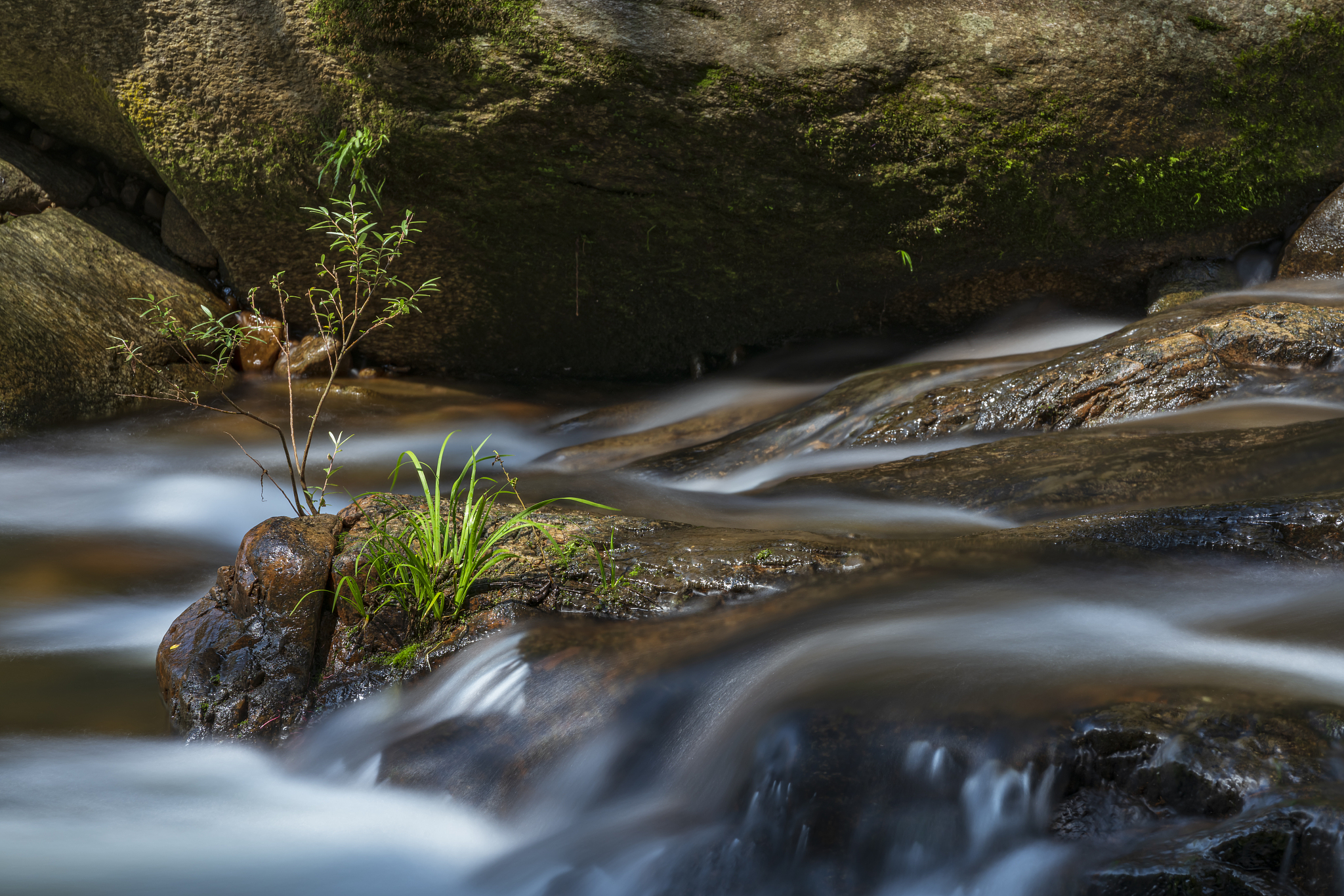 黄冈水利电力学校2022年专业设置：水电工程、水利工程等