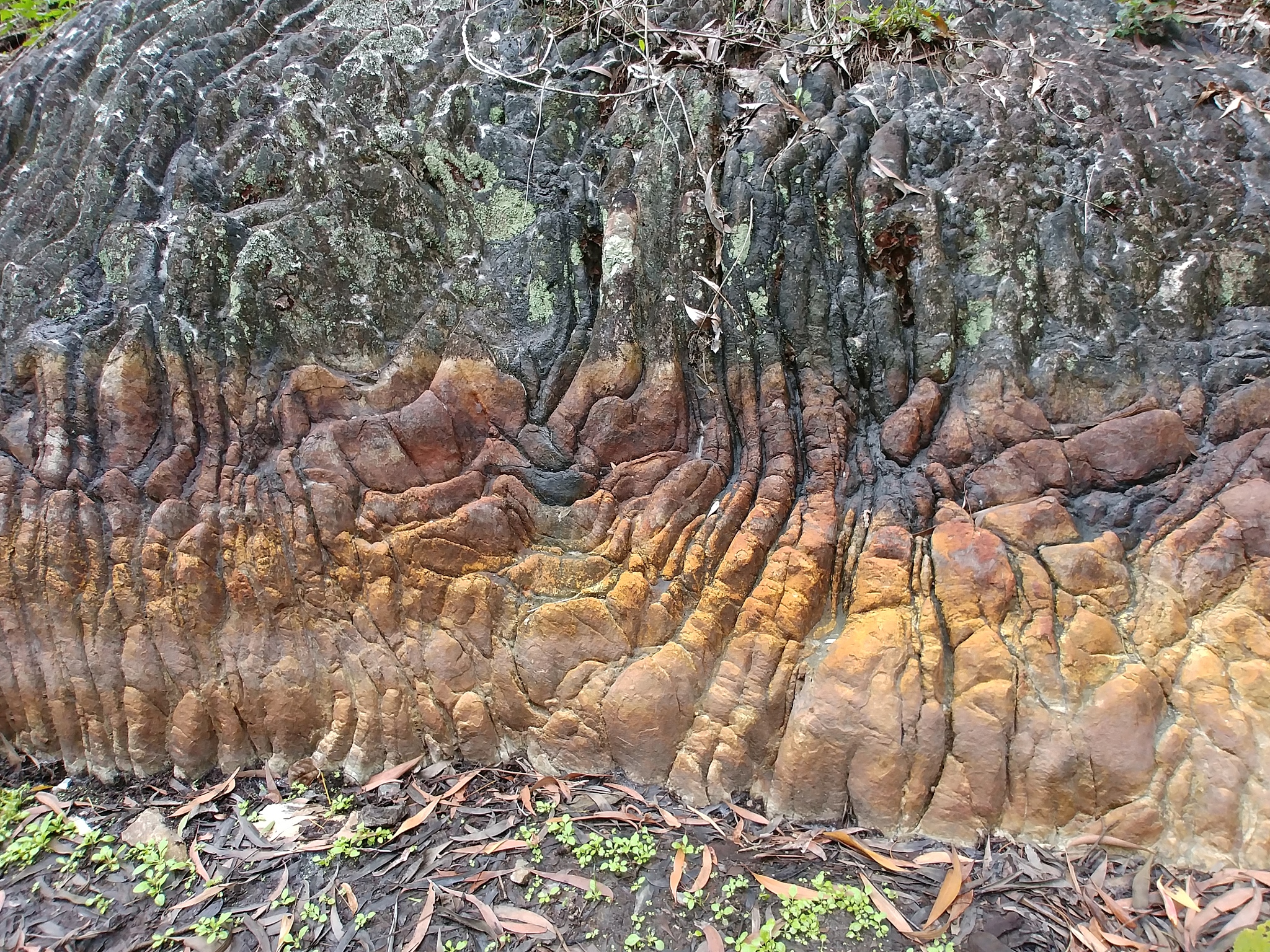 亿万年的地质变迁造就了如今的风景