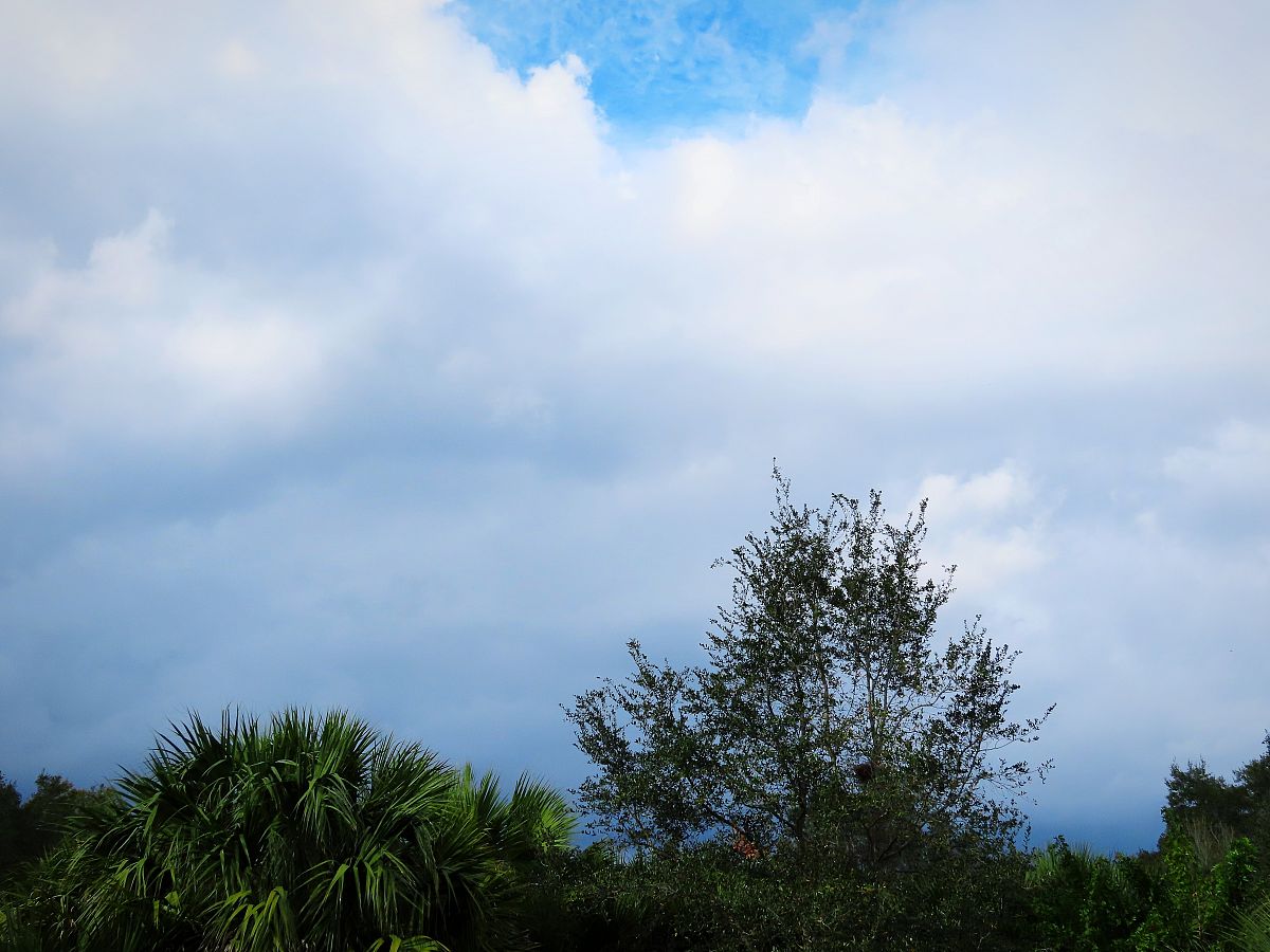 跳舞的线：风暴之怒 - 全新角色、模式和炫酷舞步！