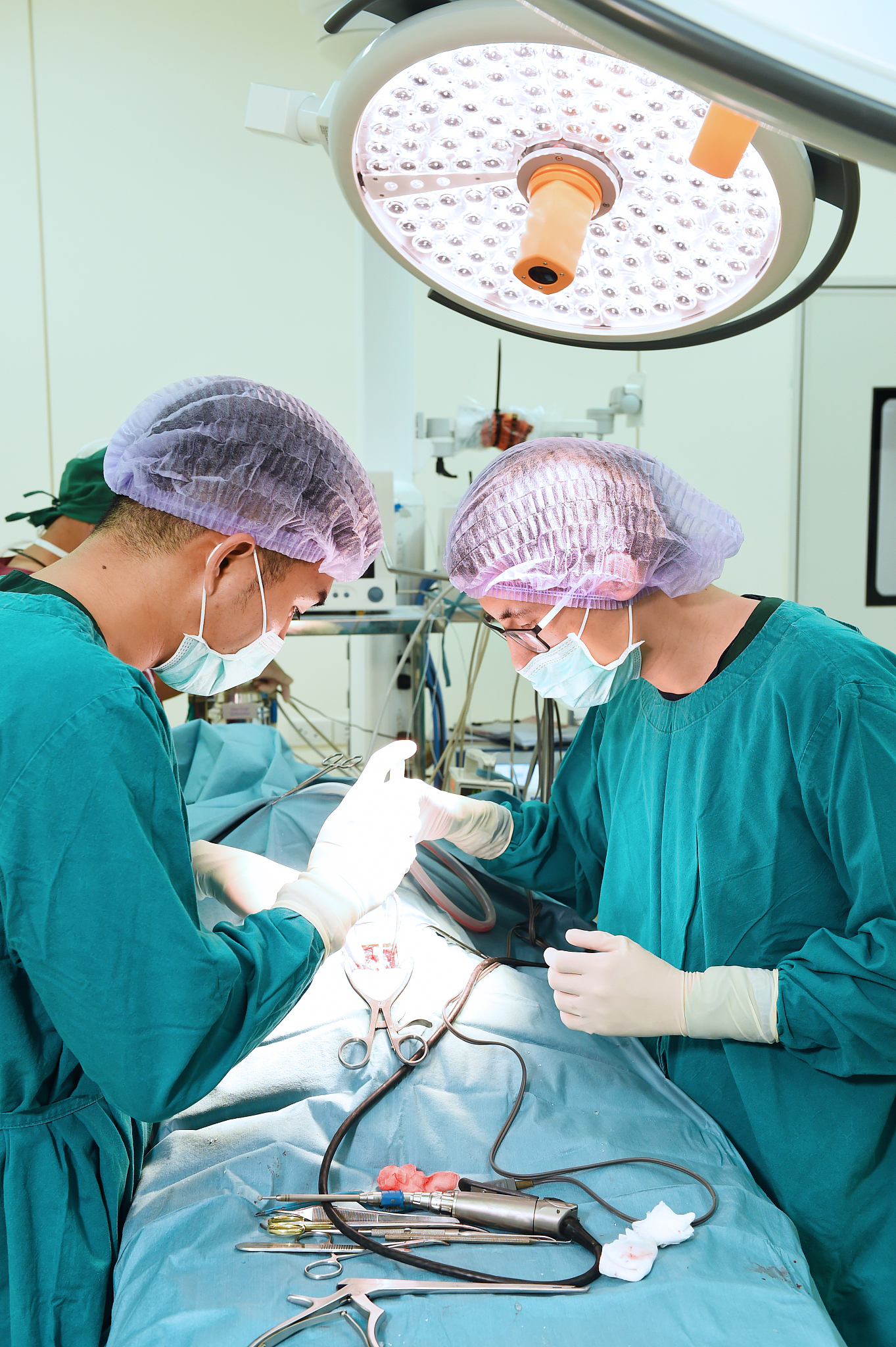 two veterinarian surgeons