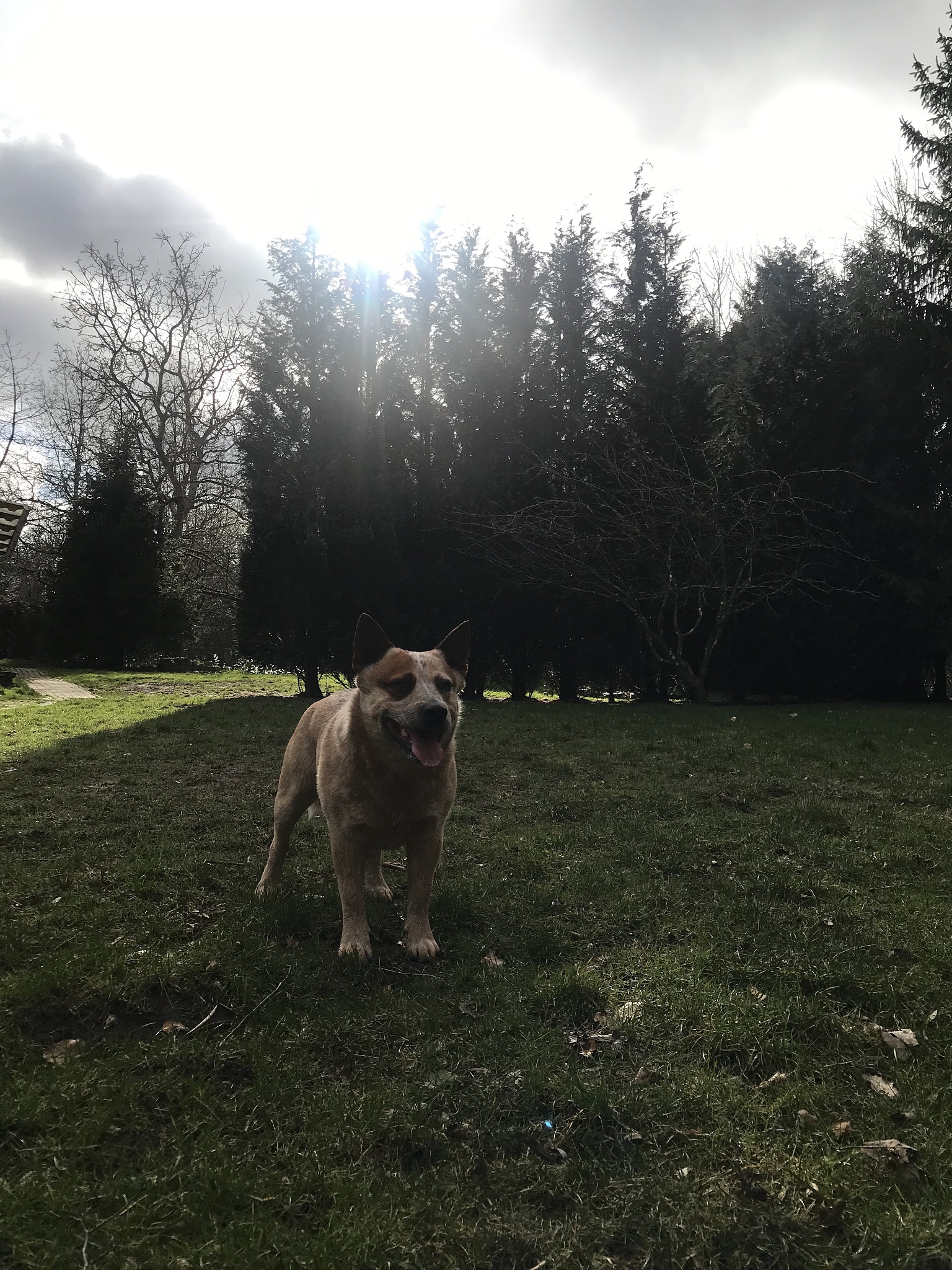 降低敏捷和什么组合最大化