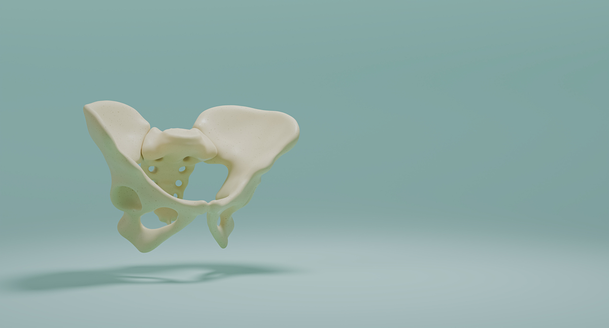 艺用解剖学：骨盆和下肢结构解析